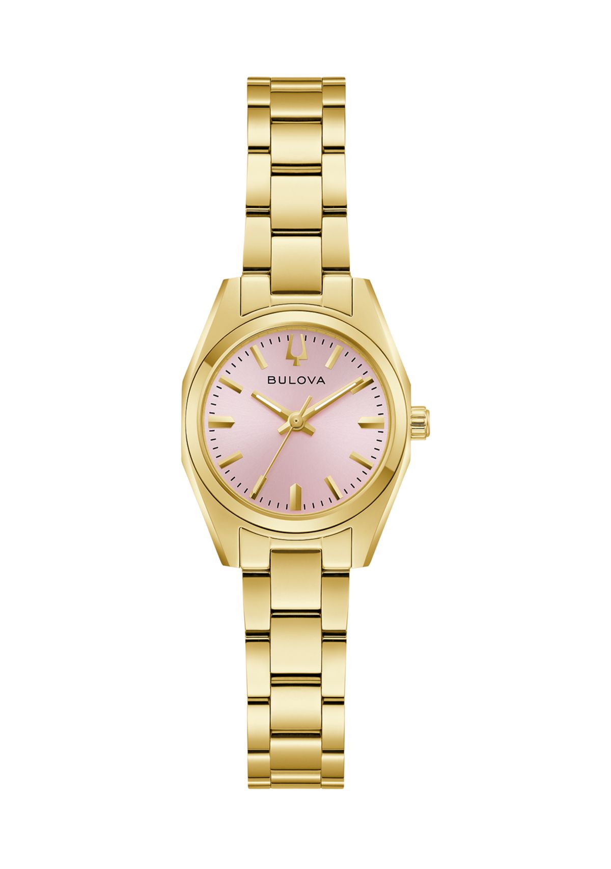 Surveyor Watch 