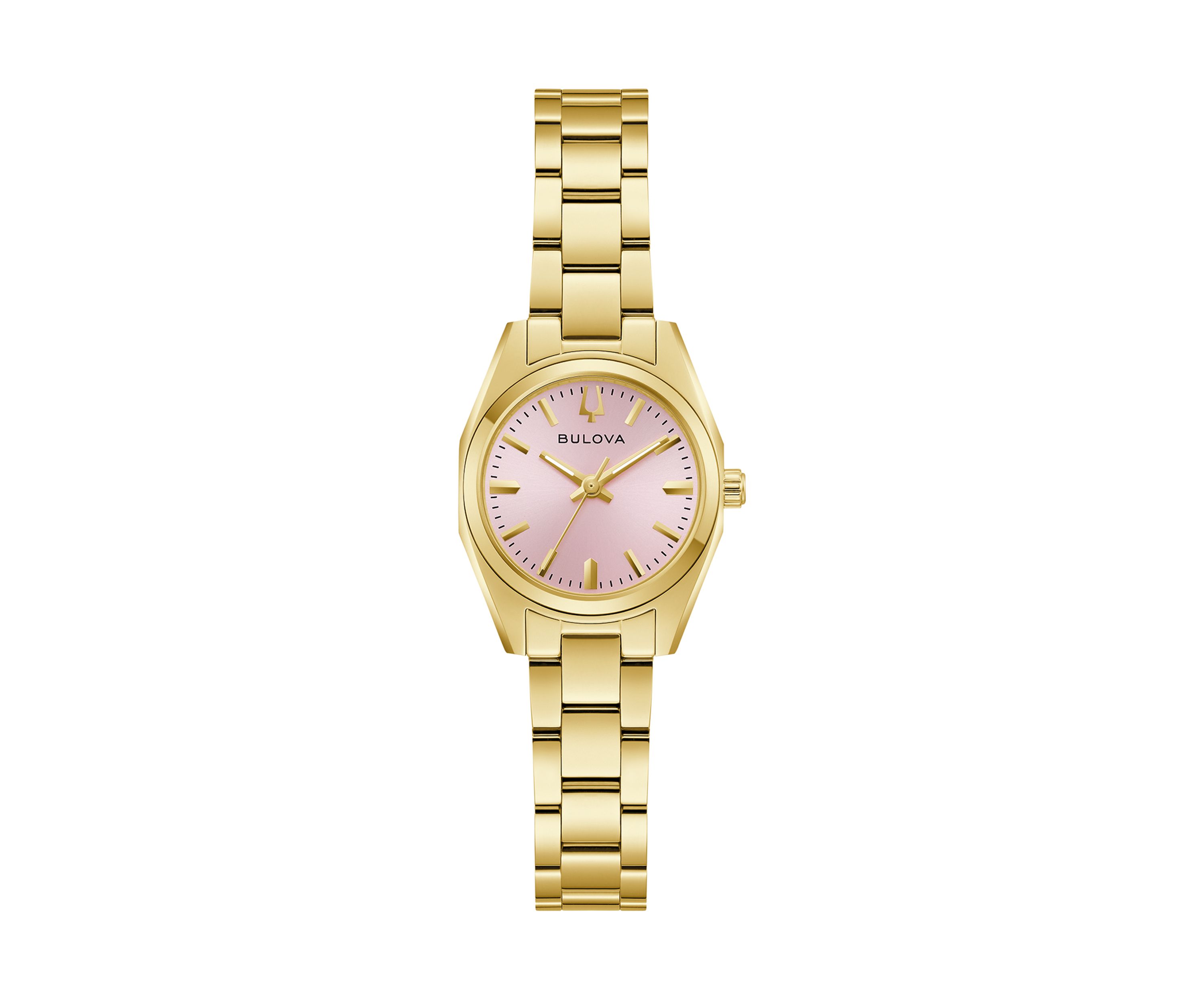 Surveyor Watch 