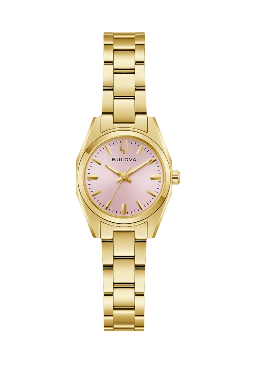 Surveyor Watch 