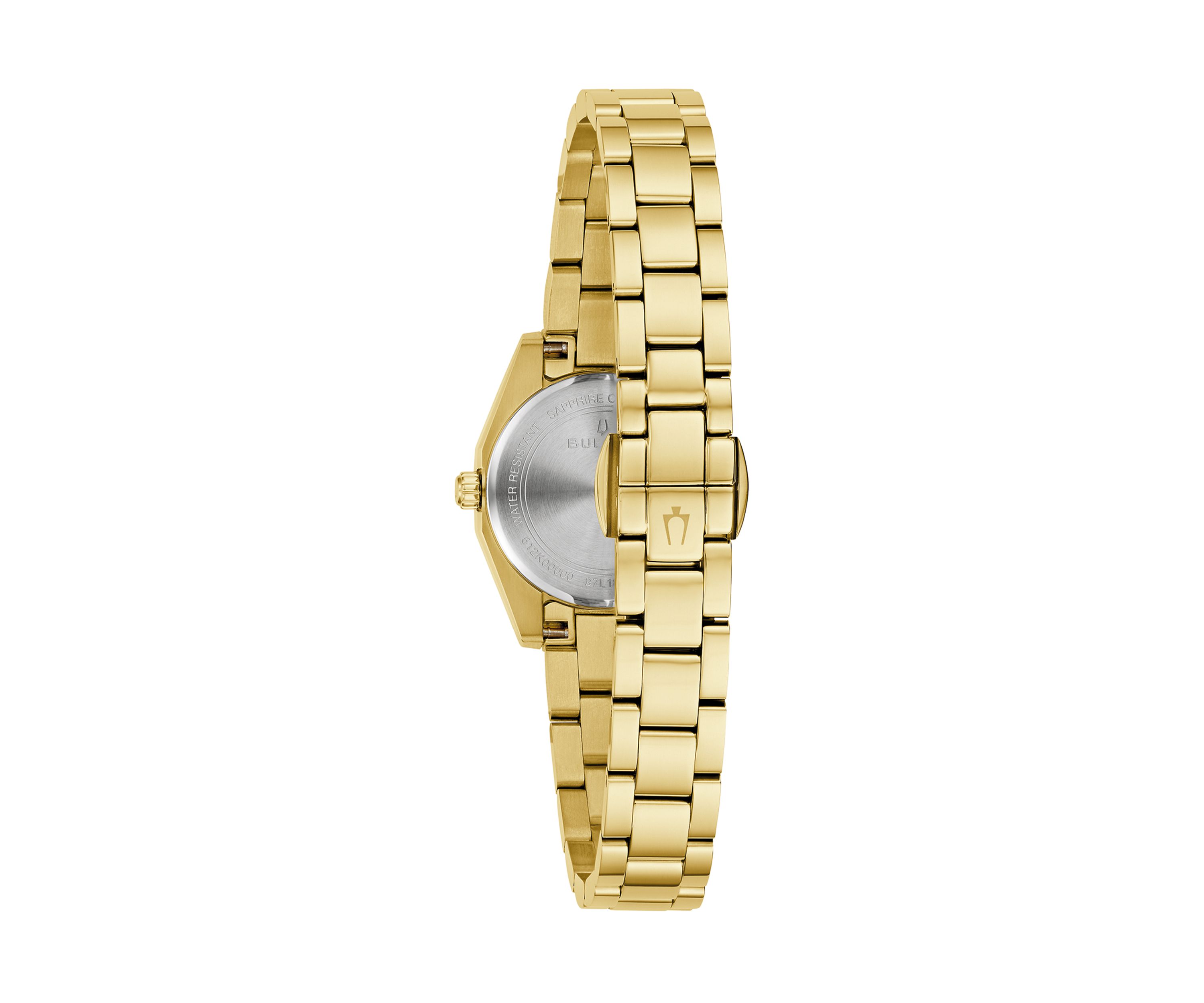 Surveyor Watch 