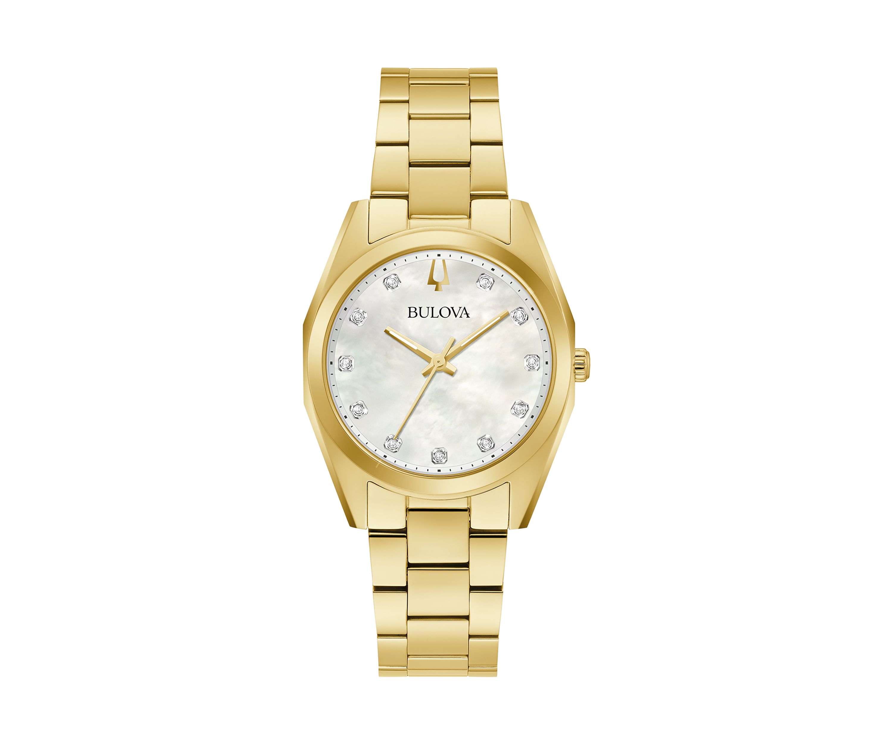 Surveyor Watch