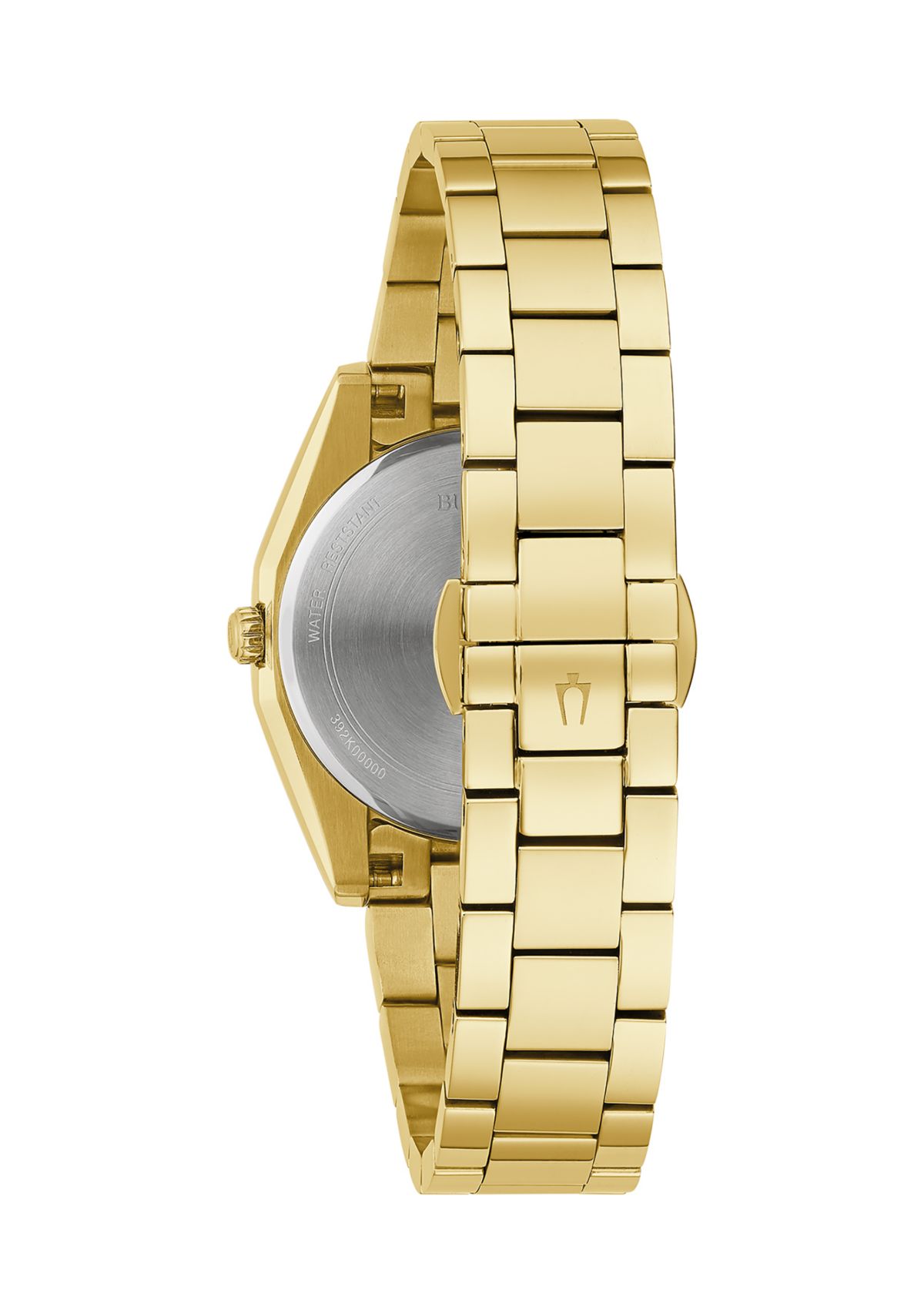 Surveyor Watch