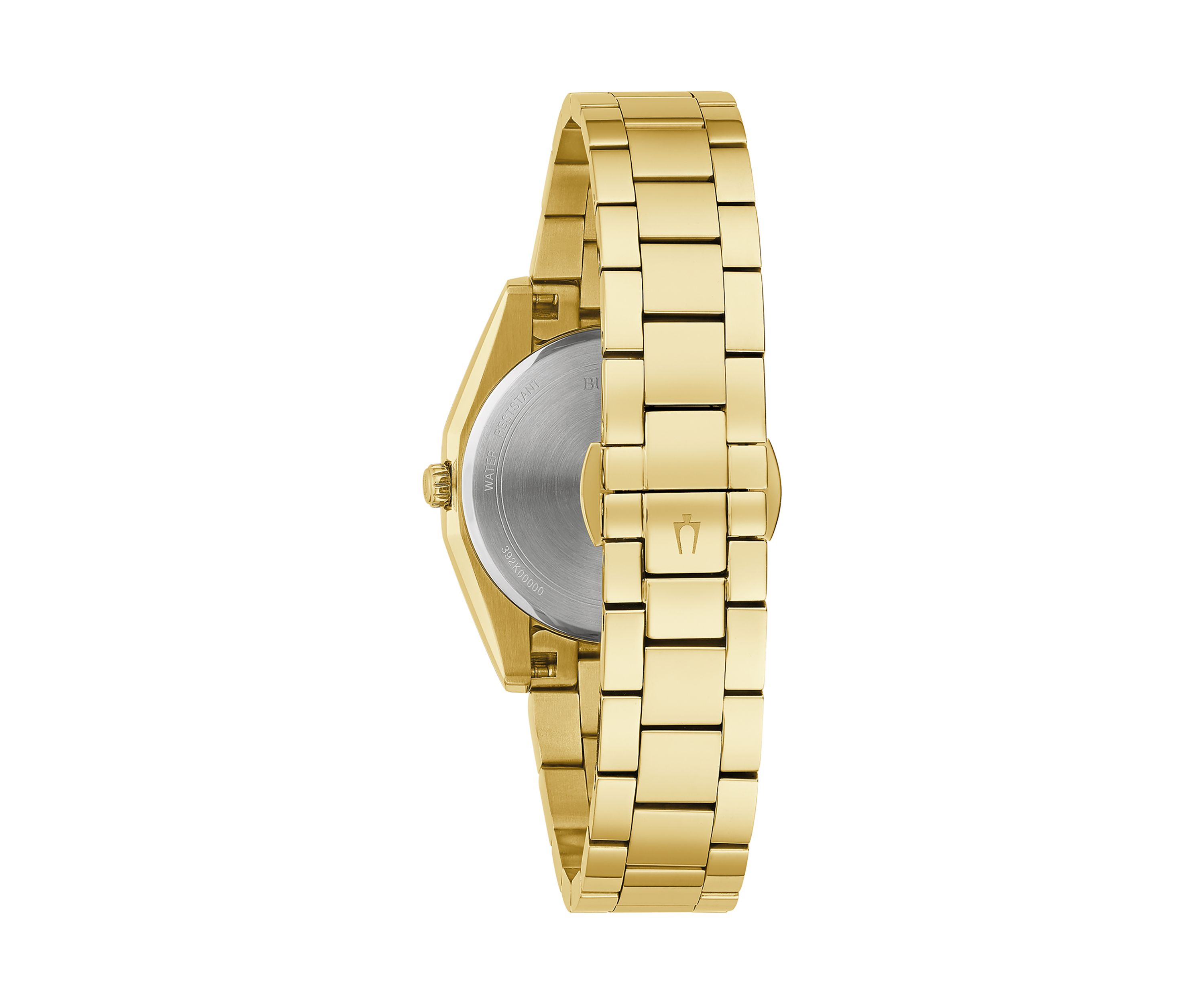 Surveyor Watch