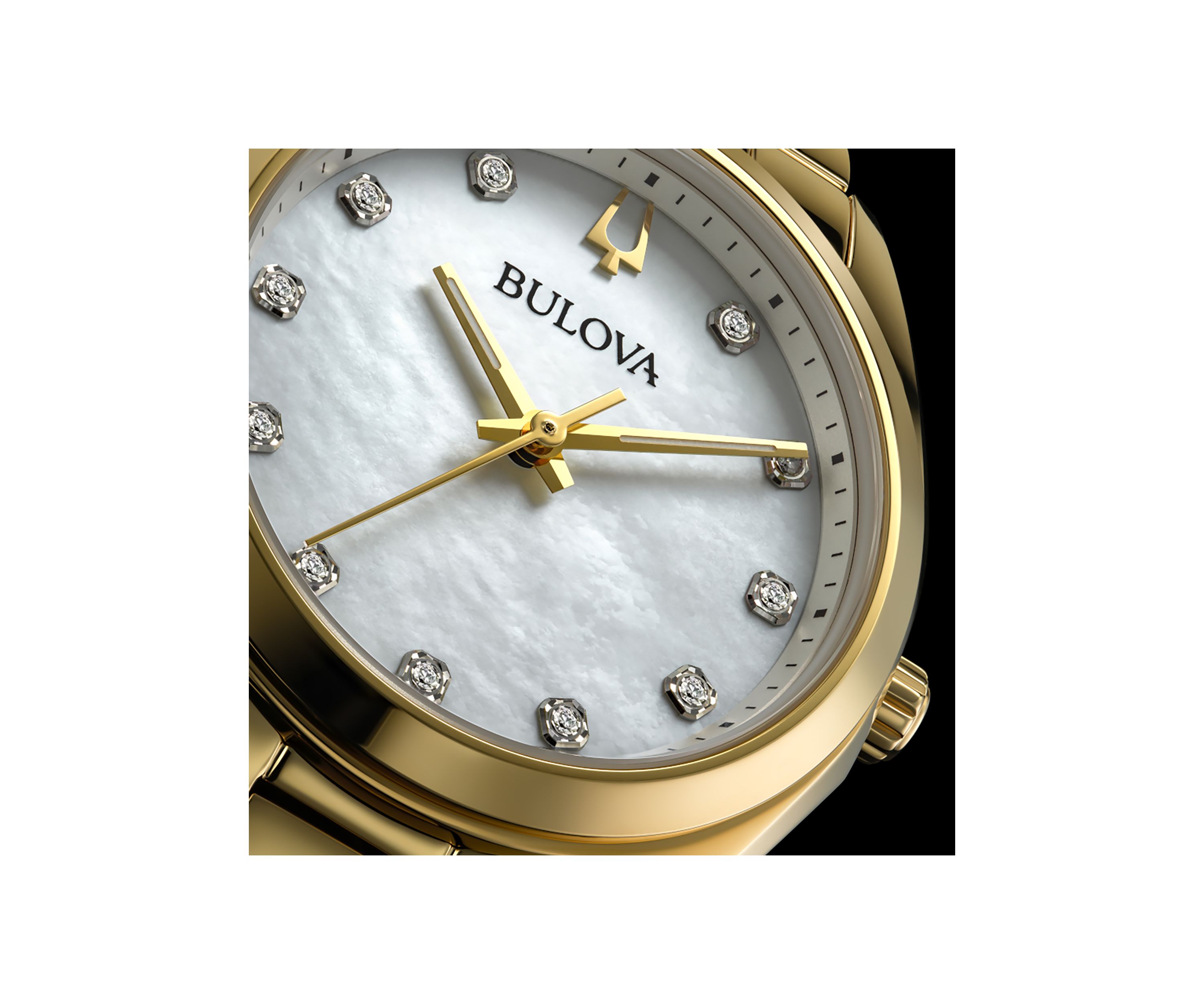 Surveyor Watch
