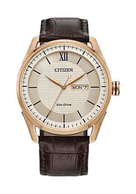 Citizen Watches for Men: Gold Eco-Drive & More