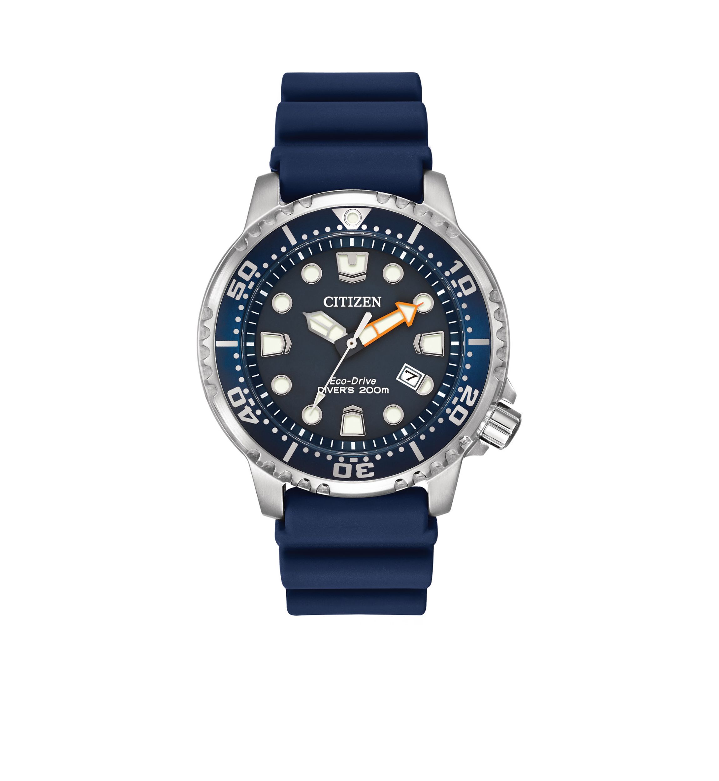 Mens Promaster Professional Diver Watch