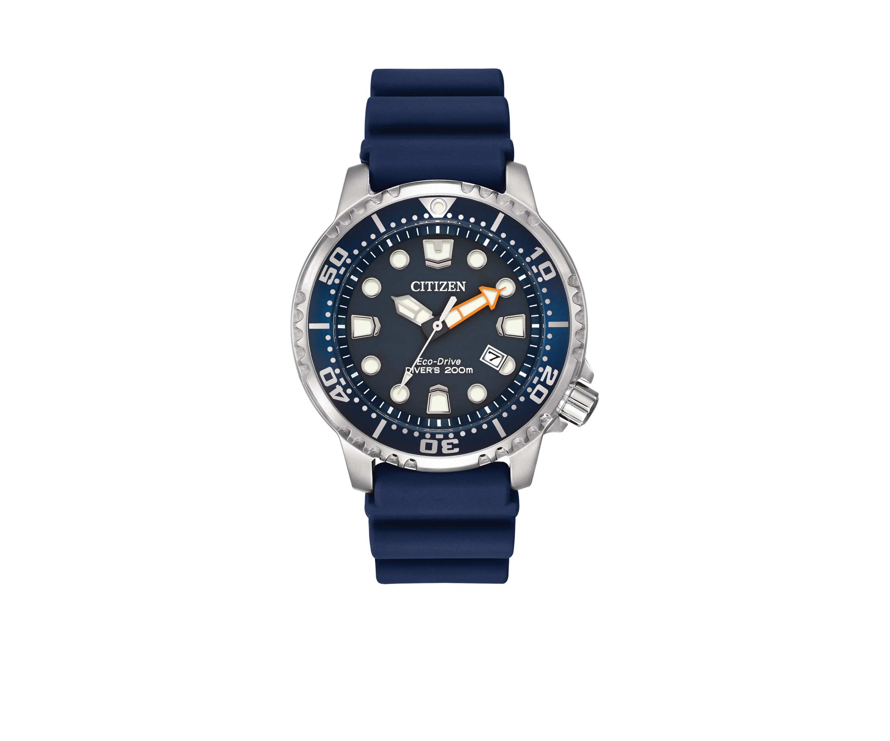 Mens Promaster Professional Diver Watch