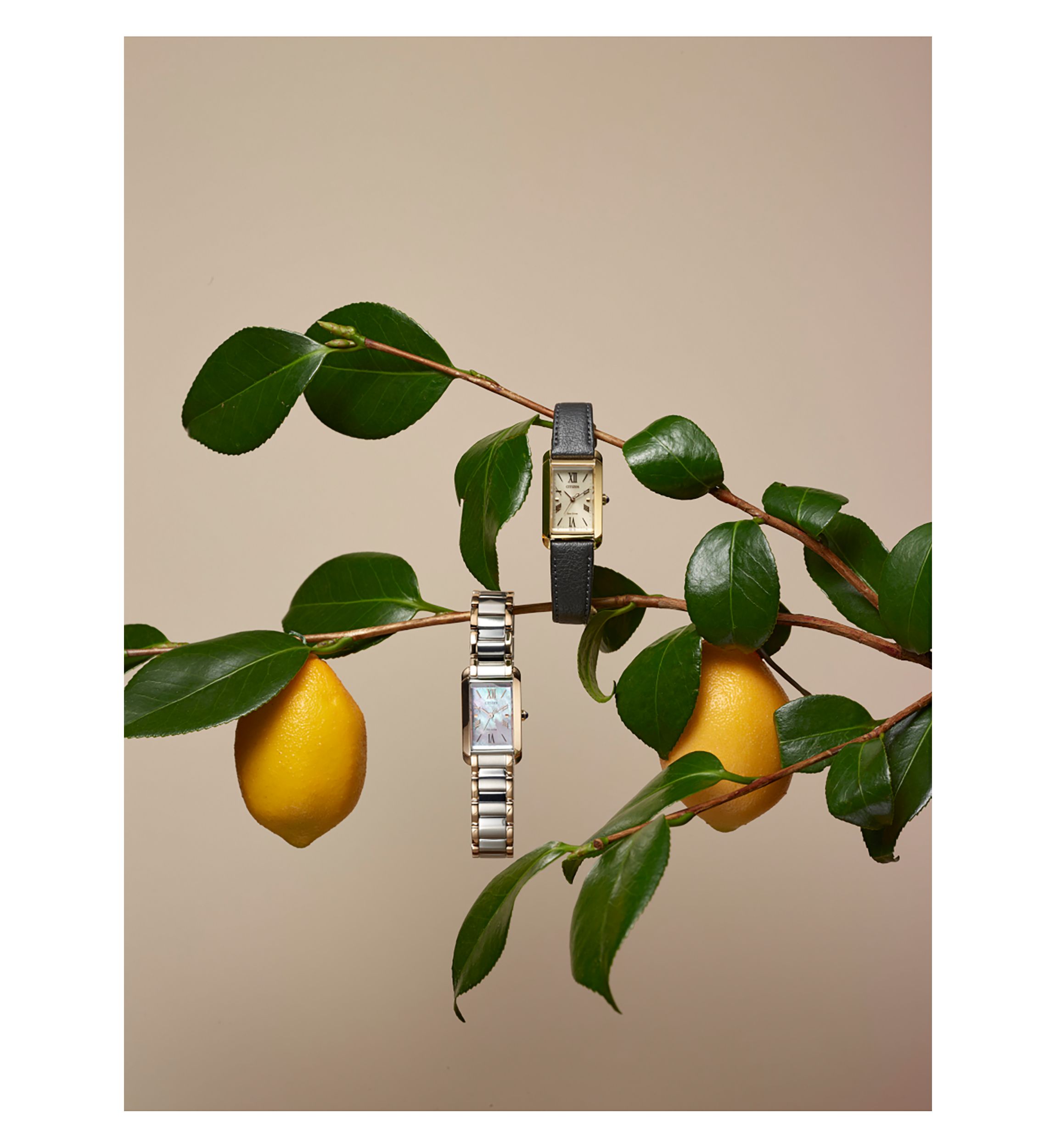 Ladies Classic Bianca Two-Tone Bracelet Watch, 32.4 mm