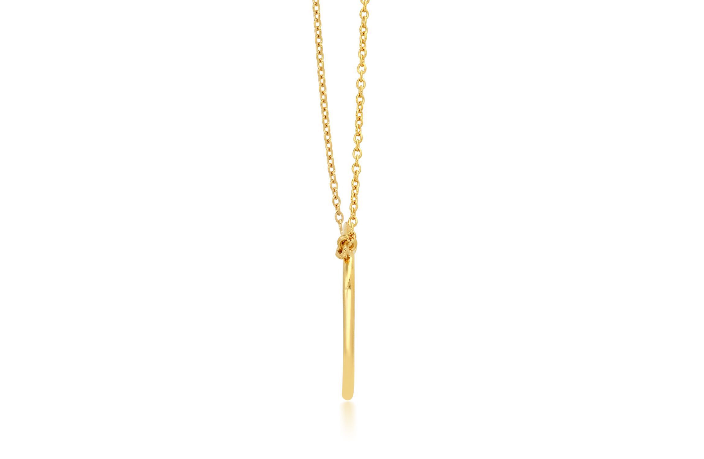 18K Yellow Gold Over Sterling Silver Vermeil Circle Eternity Necklace