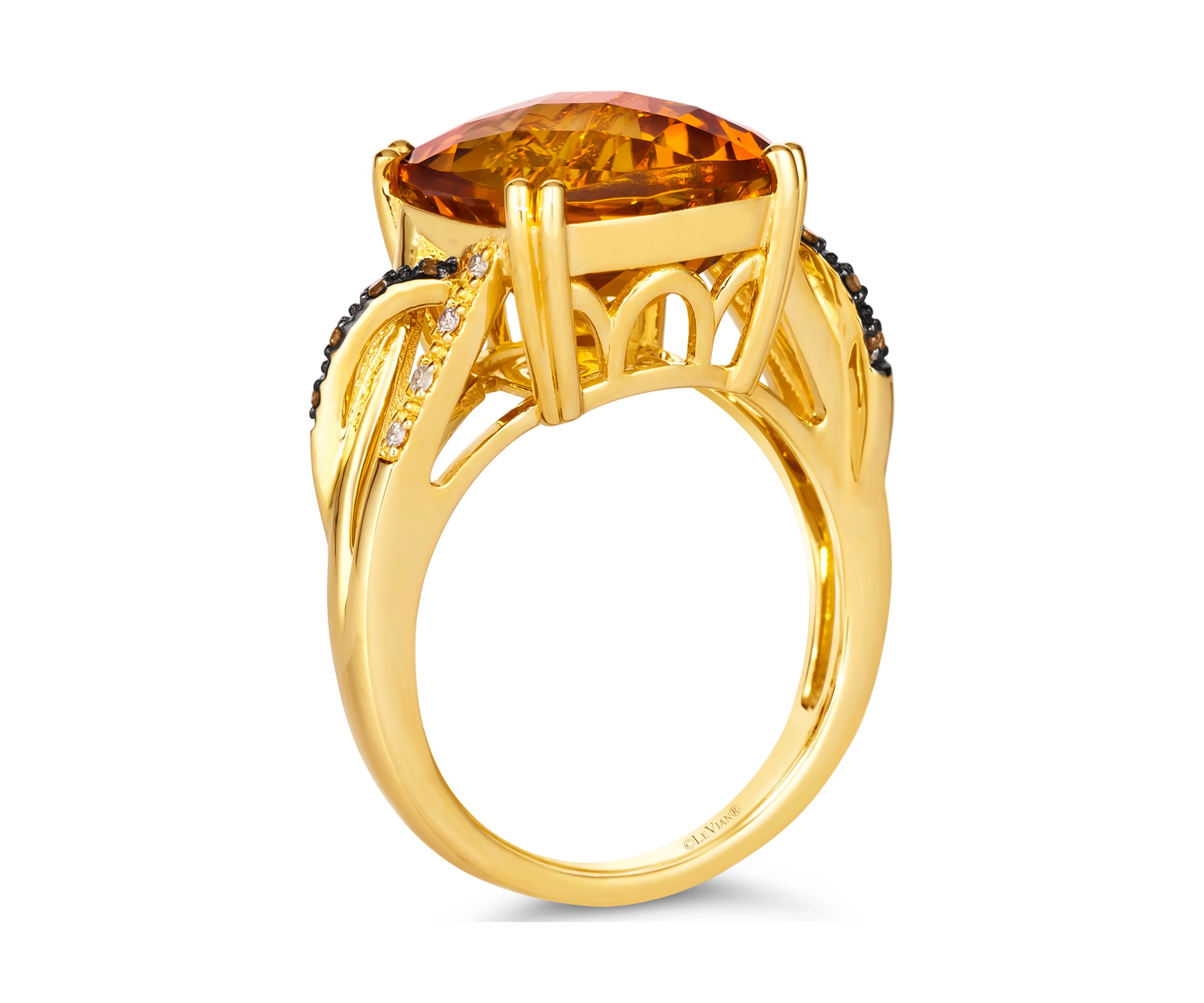 6.75 ct. t.w. Cinnamon Citrine®, Chocolate Diamonds®, Nude Diamonds™ Ring  in 14K Honey Gold™