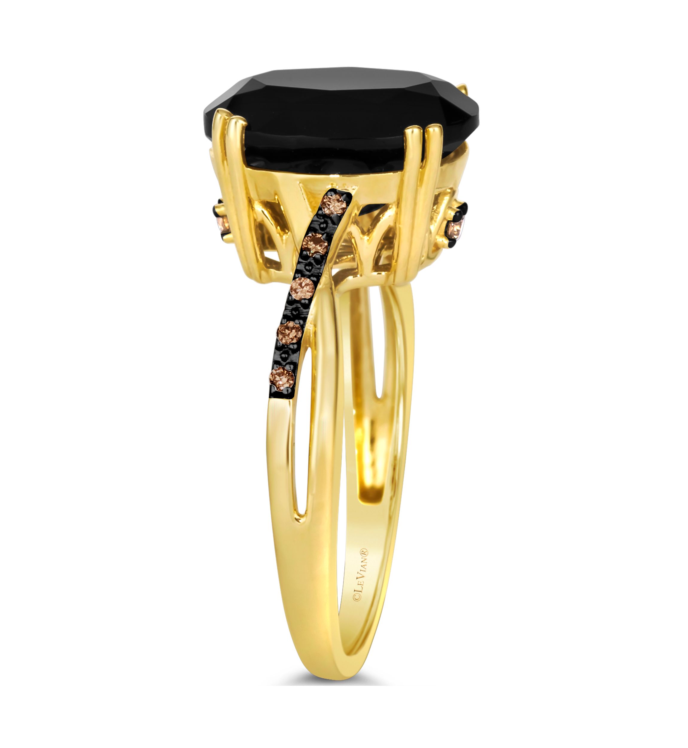 3.87 ct. t.w. Onyx, Nude Diamonds™, 1/20 ct. t.w. Chocolate Diamonds® Ring in 14K Honey Gold™