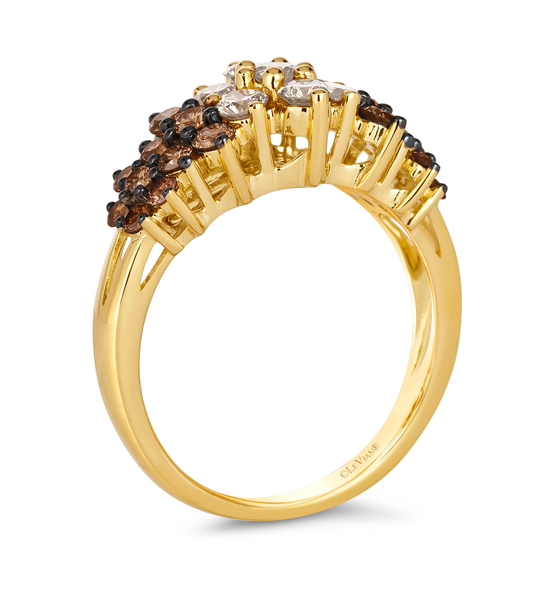 Ombré Ring featuring 1.36 ct. t.w. Chocolate Ombré Diamonds® set in 14K Honey Gold™