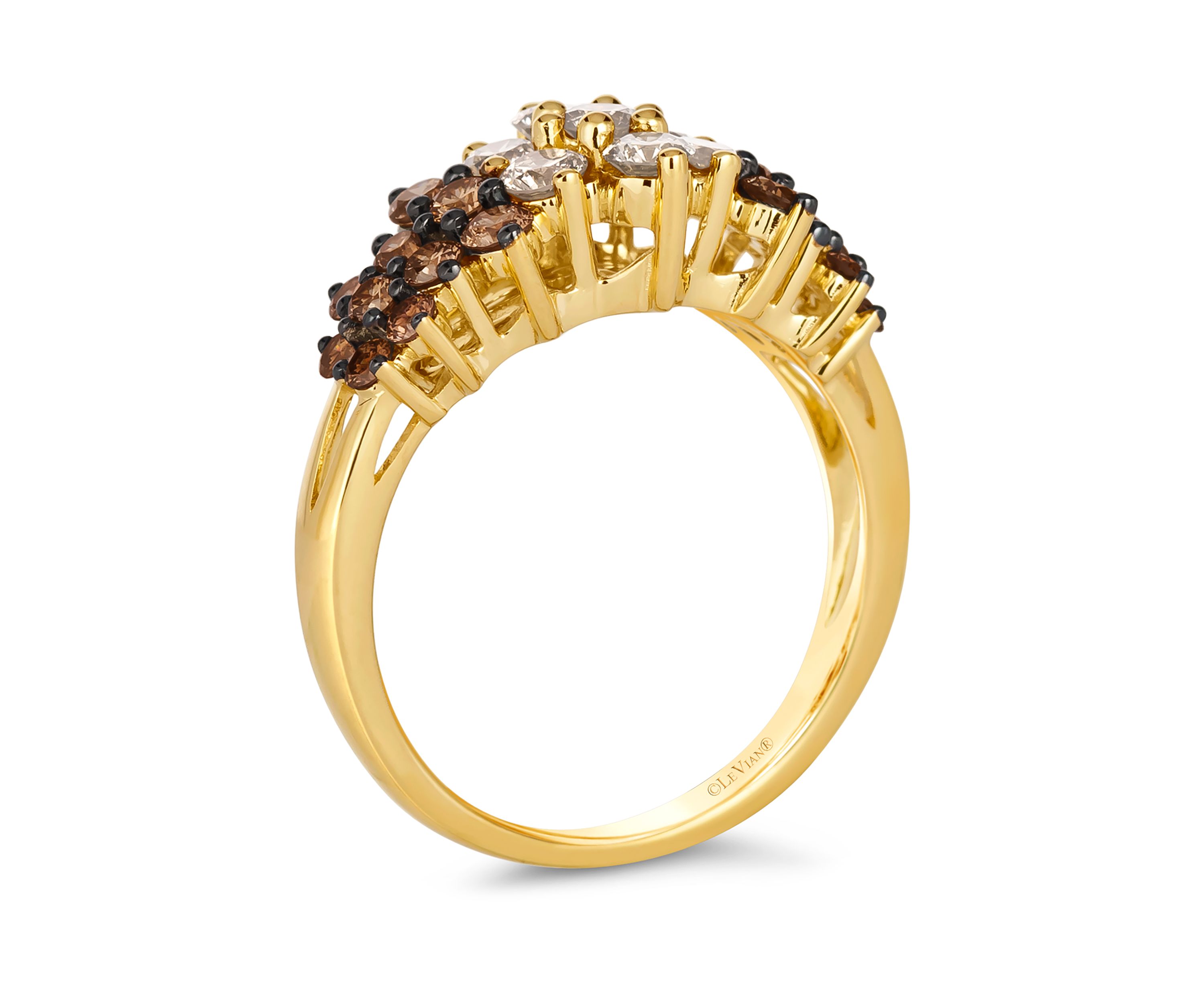 Ombré Ring featuring 1.36 ct. t.w. Chocolate Ombré Diamonds® set in 14K Honey Gold™