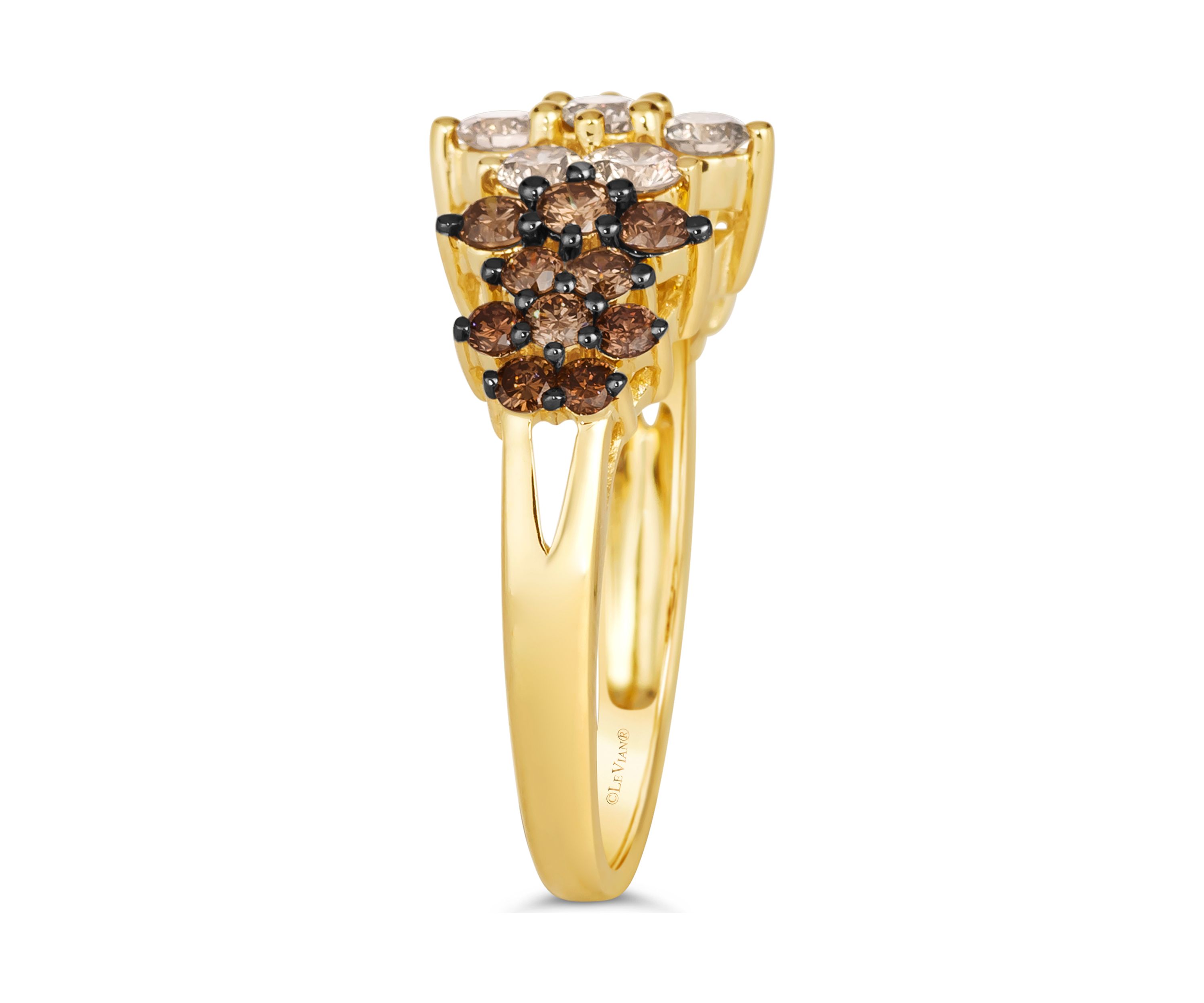Ombré Ring featuring 1.36 ct. t.w. Chocolate Ombré Diamonds® set in 14K Honey Gold™