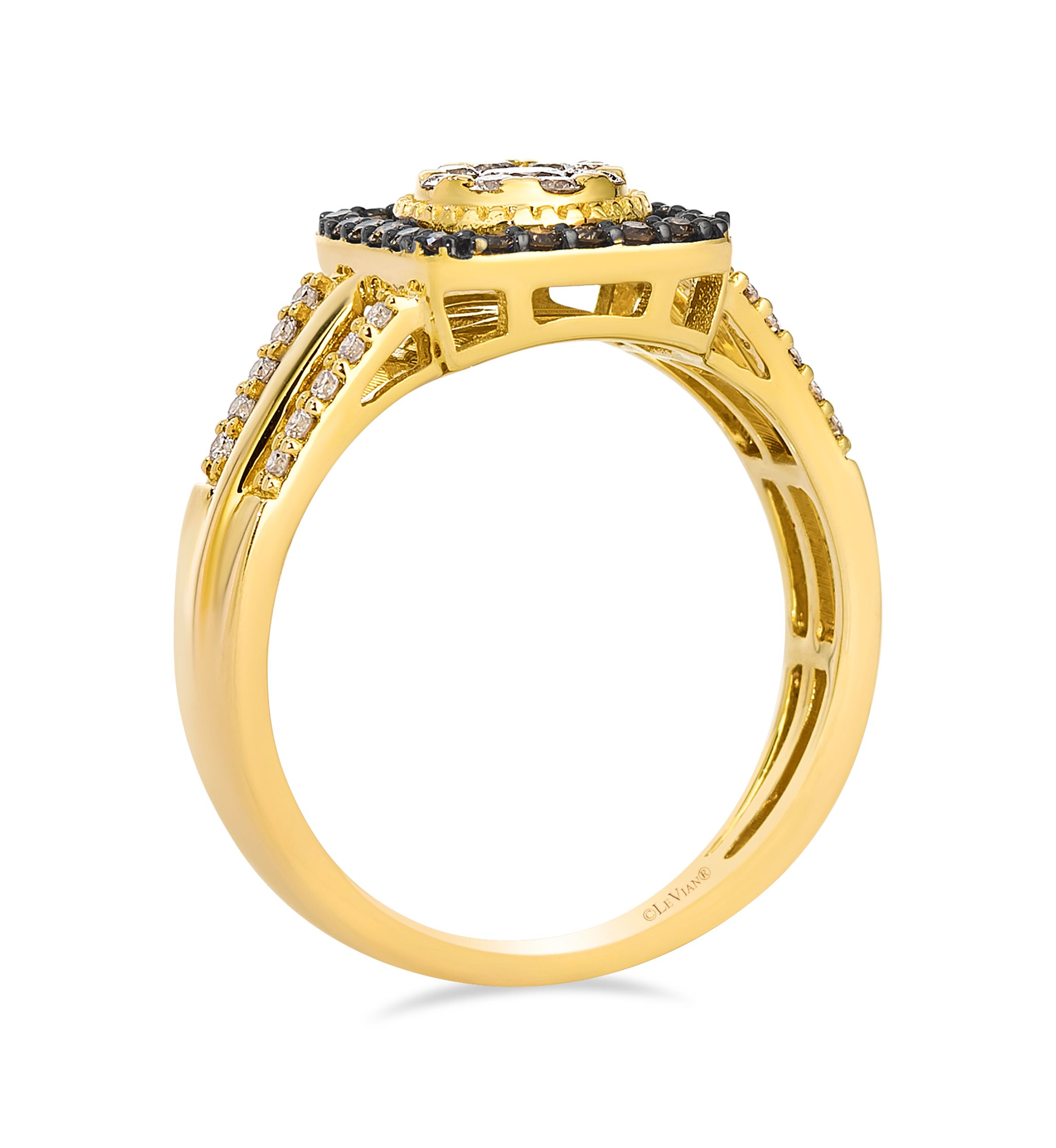 Ring featuring 3/8 ct. t.w. Nude Diamonds™, 1/6 ct. t.w. Chocolate Diamonds® set in 14K Honey Gold™