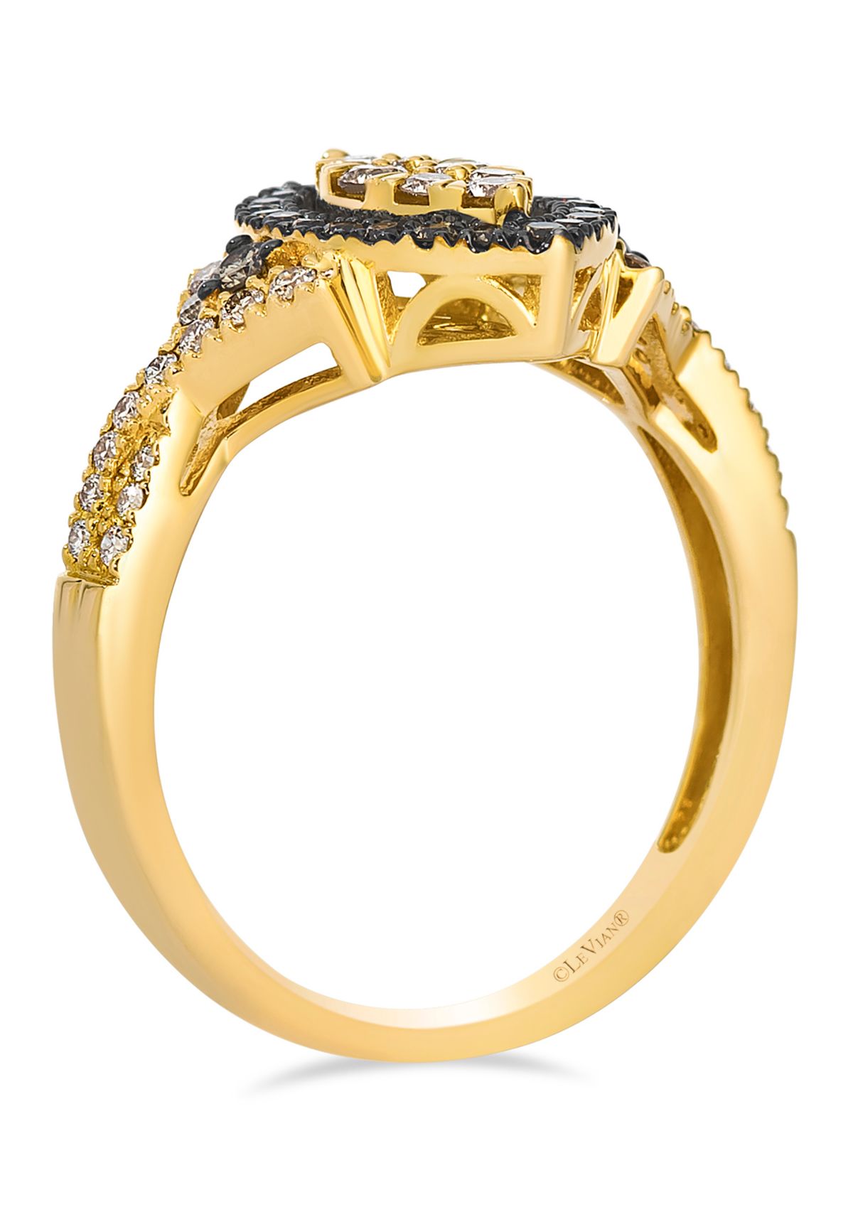 Ring featuring 3/8 ct. t.w. Nude Diamonds™, 1/5 ct. t.w. Chocolate Diamonds® set in 14K Honey Gold™