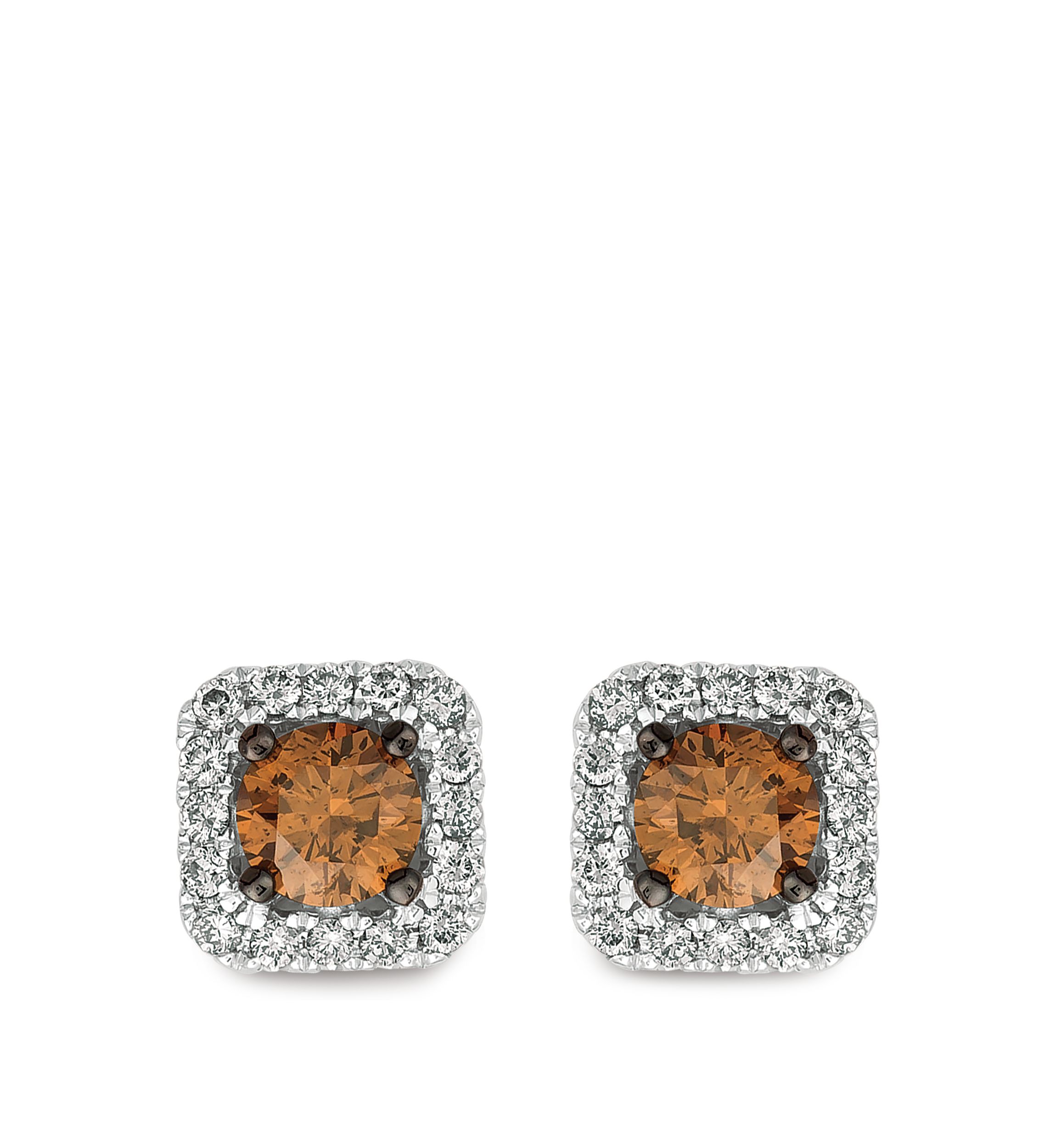 5/8 ct. t.w. Chocolate Diamonds® and 1/4 ct. t.w. Nude Diamonds™ Earrings in 14k Vanilla Gold®