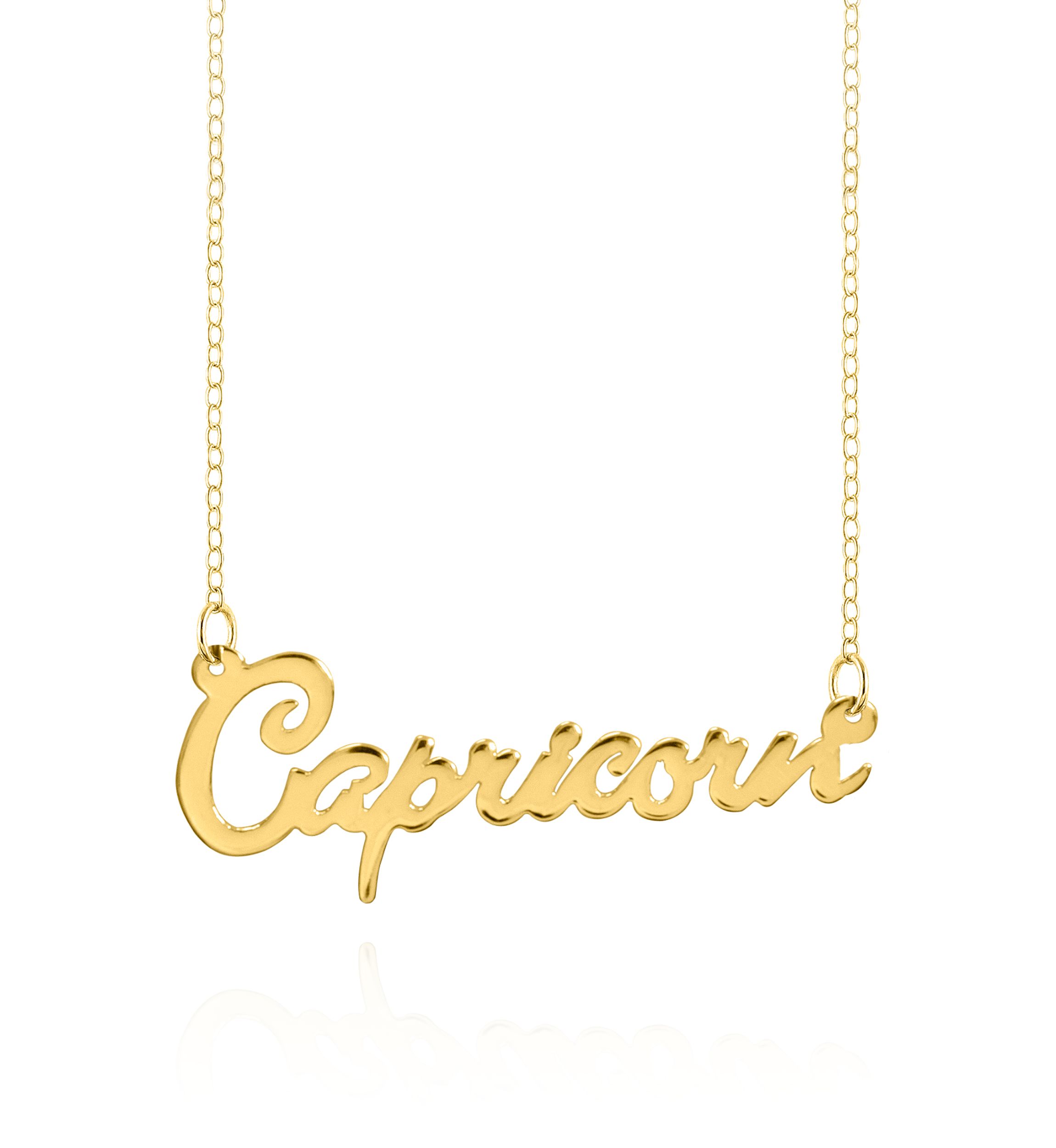 14k Yellow Gold Capricorn Necklace