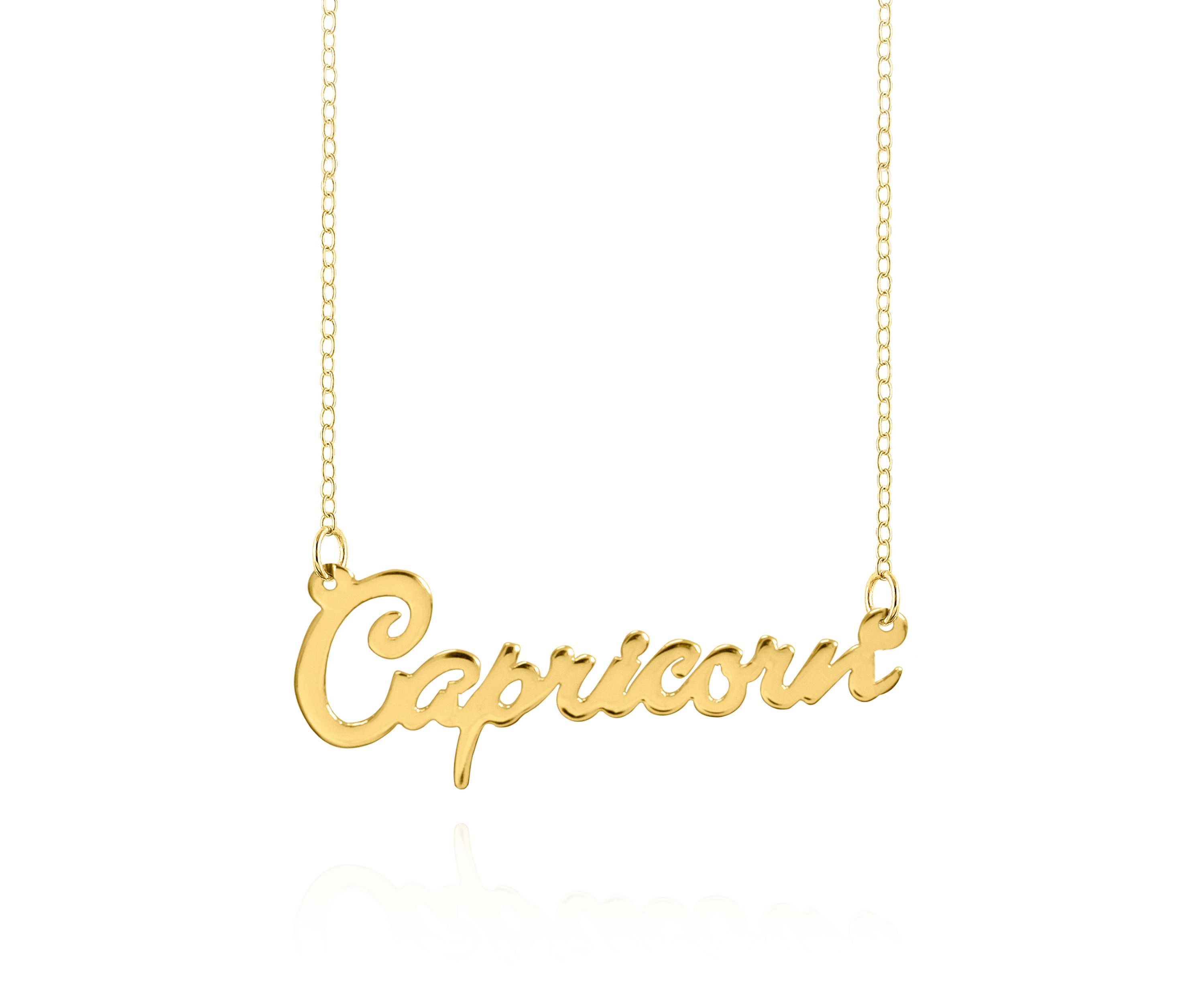 14k Yellow Gold Capricorn Necklace