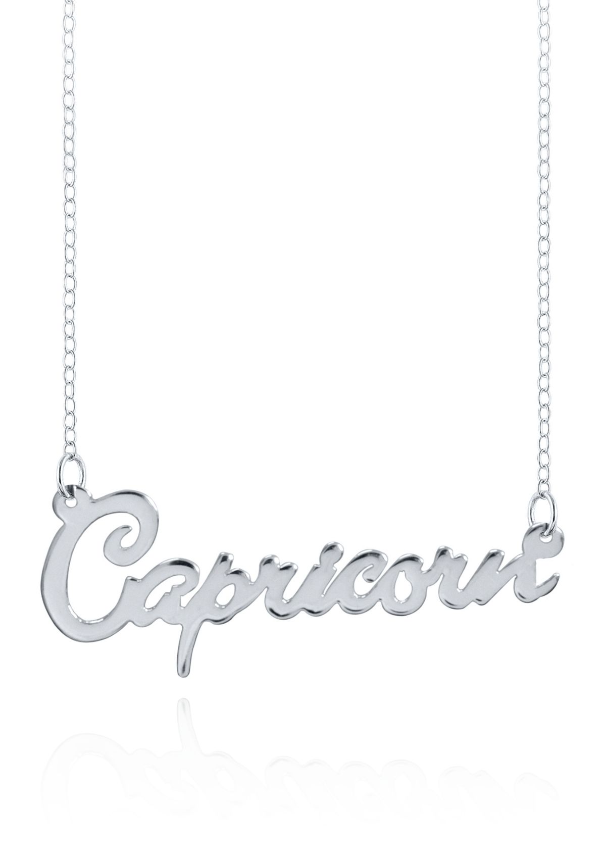 Sterling Silver Capricorn Necklace