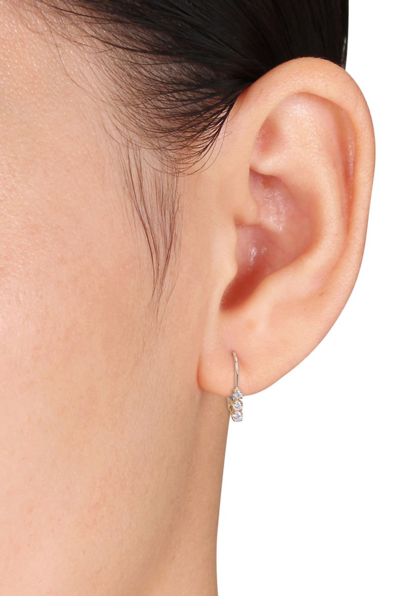  1/4 ct. t.w. Diamond 3 Stone Drop Earrings in 14k Yellow Gold
