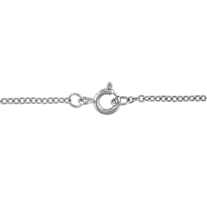 2-Piece Set 1/10 CT TW Diamond Circle Entwined Earrings and Necklace in Sterling Silver with Black Rhodium
