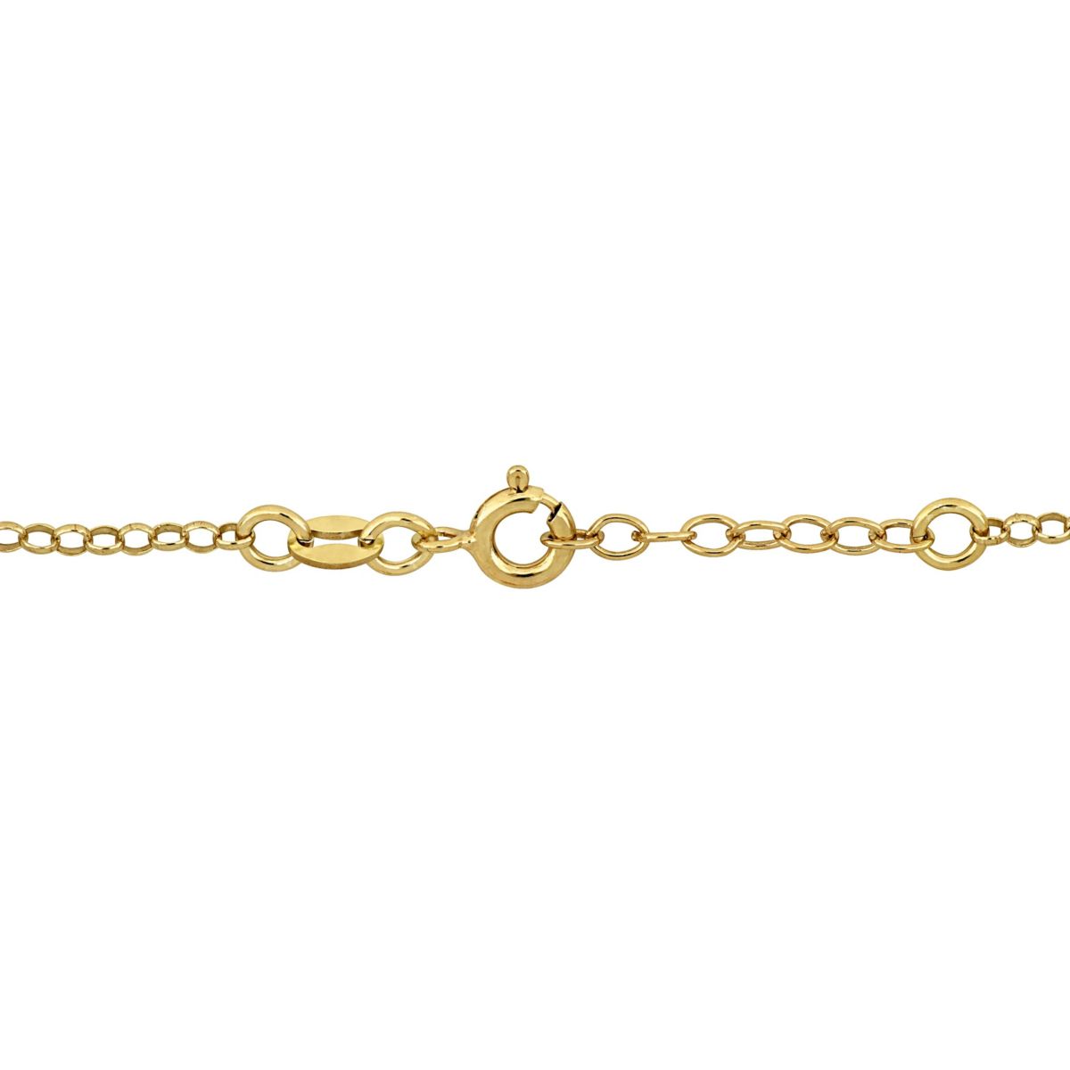 Enamel Dog Charm Rolo Chain Bracelet in Yellow Plated Sterling Silver