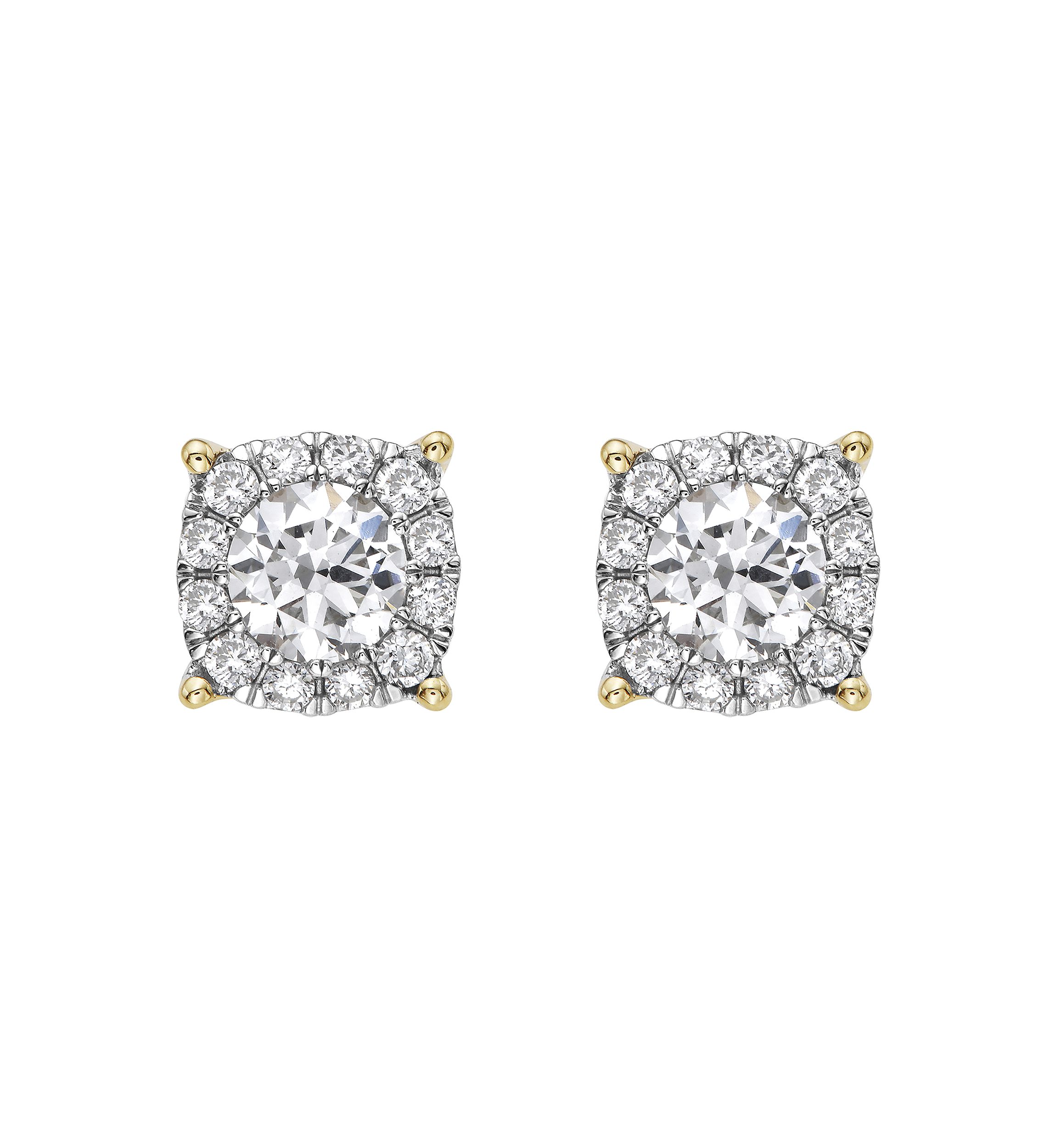 Lab Created Diamond Earrings in 14K Yellow Gold
