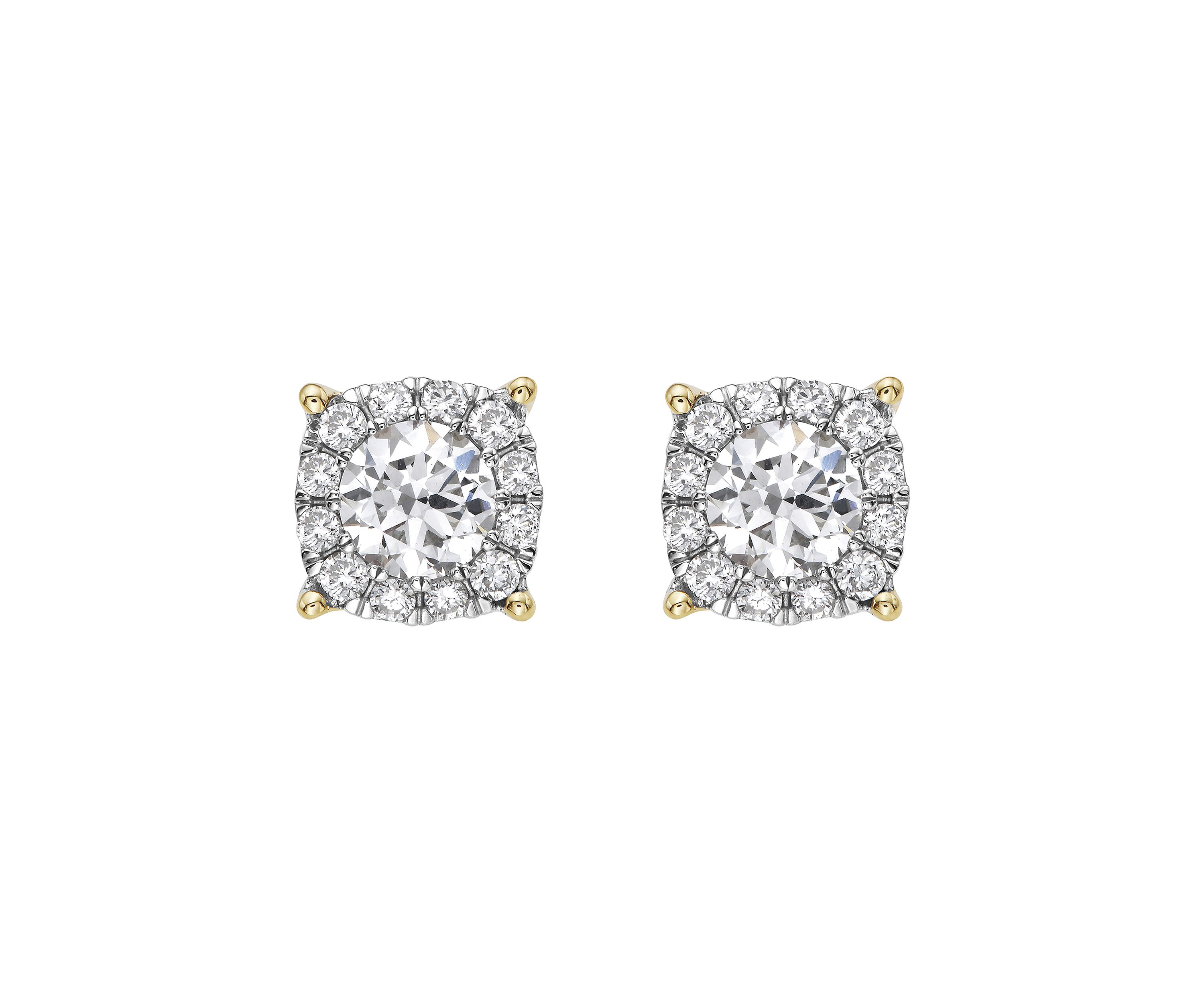 Lab Created Diamond Earrings in 14K Yellow Gold