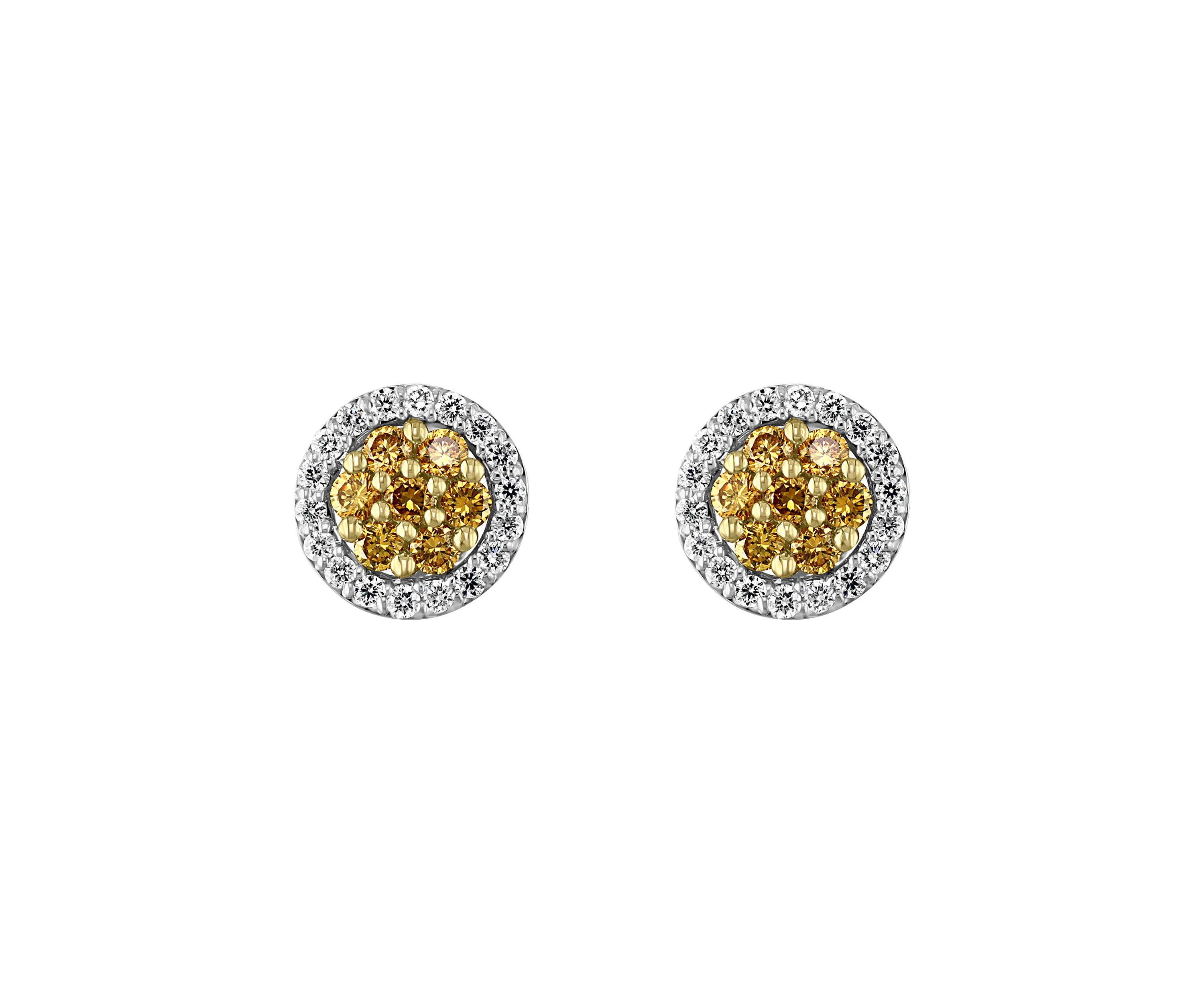 1.08 ct. t.w. Diamond Earrings 14k Two-Tone Metal 