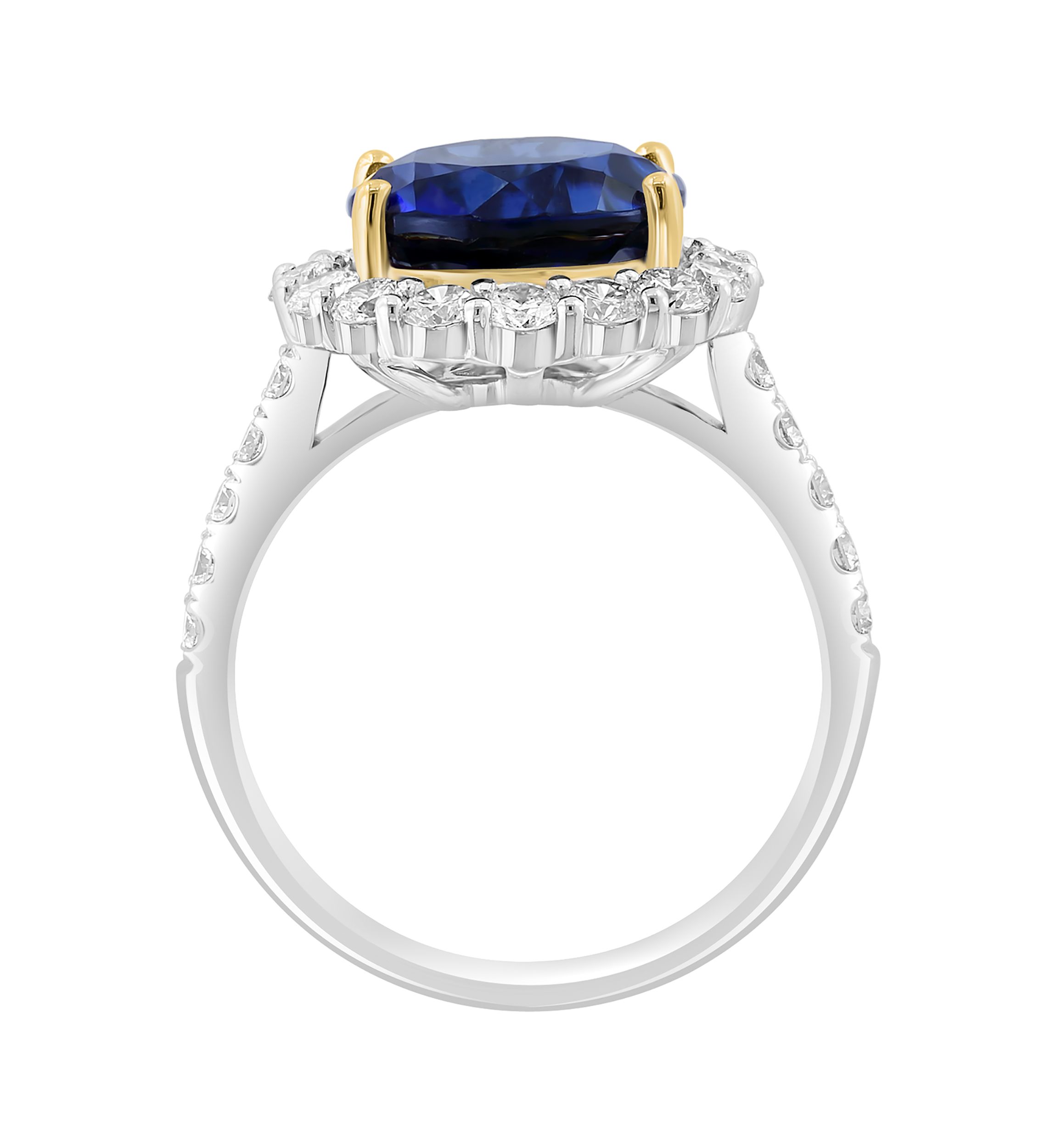 Lab Created Diamond and Sapphire Ring in 14K Two Tone Gold