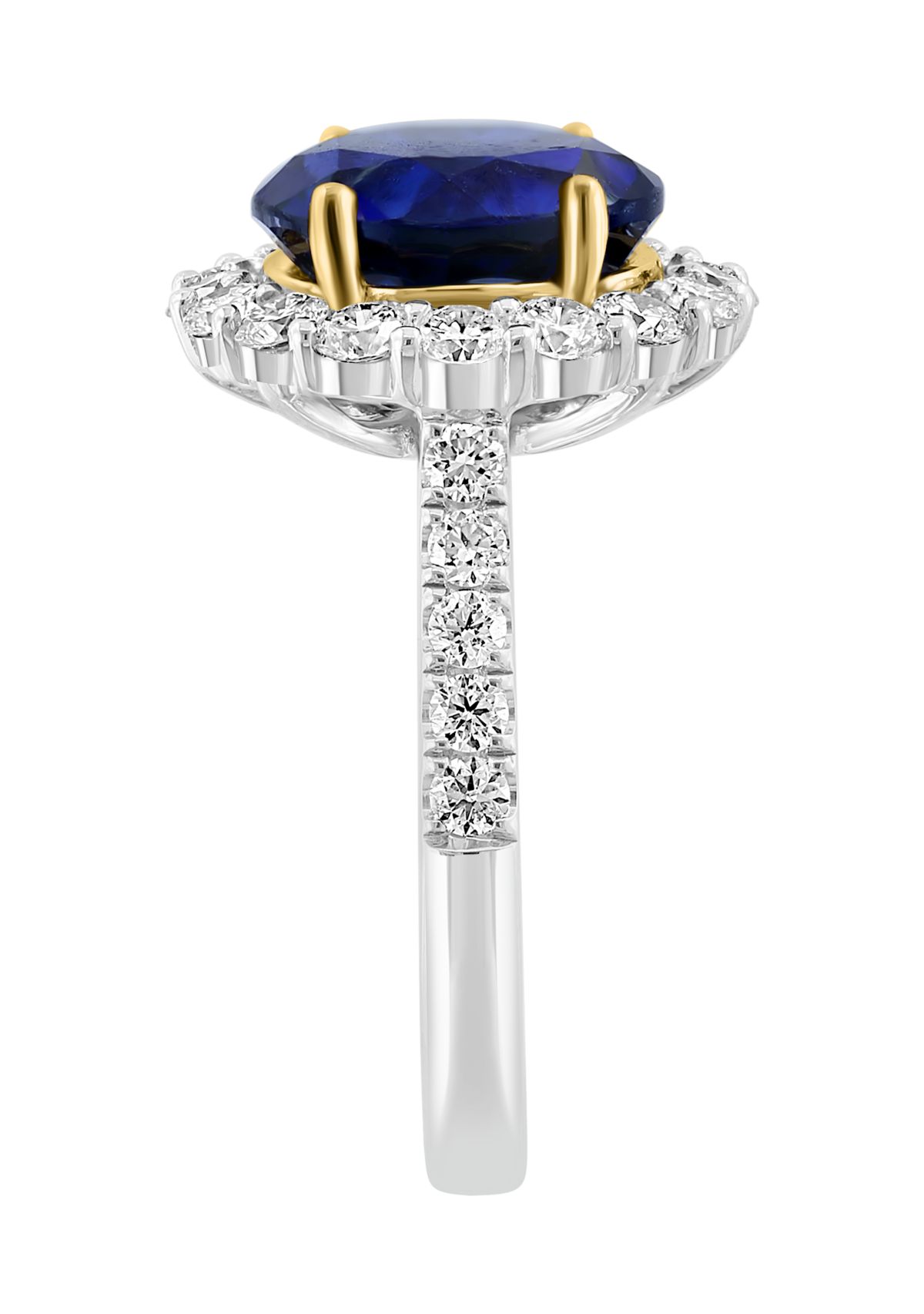 Lab Created Diamond and Sapphire Ring in 14K Two Tone Gold