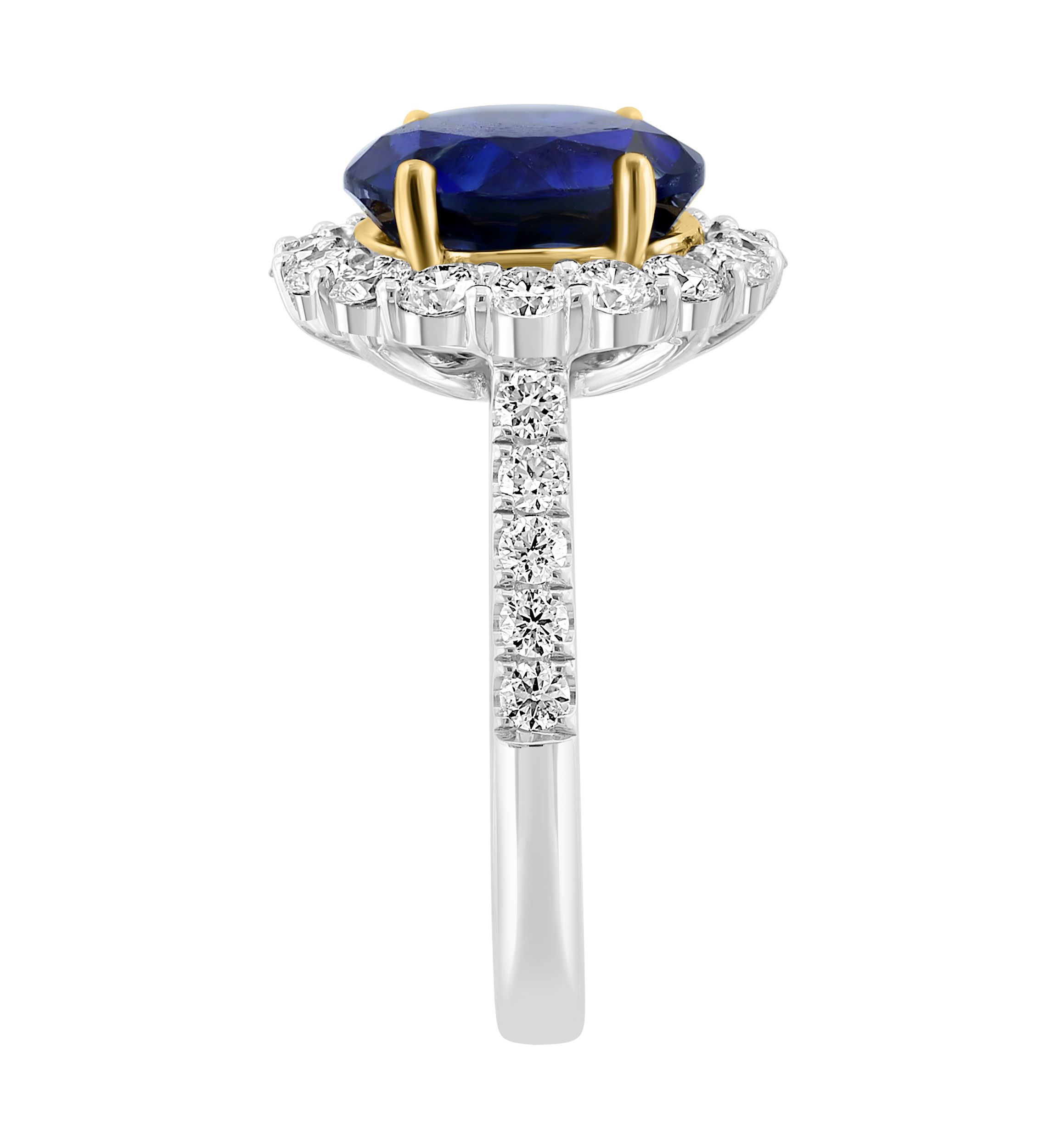 Lab Created Diamond and Sapphire Ring in 14K Two Tone Gold