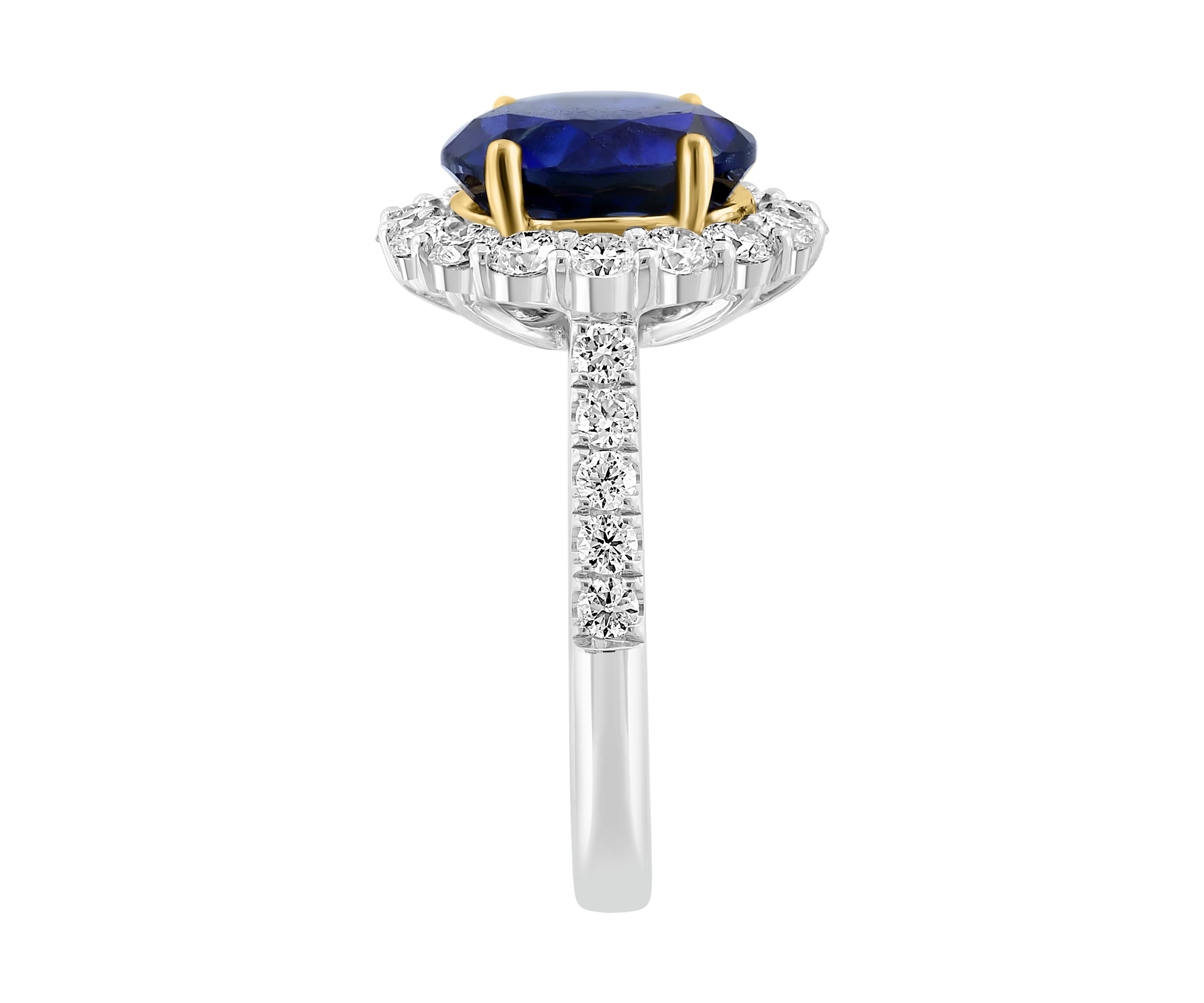 Lab Created Diamond and Sapphire Ring in 14K Two Tone Gold
