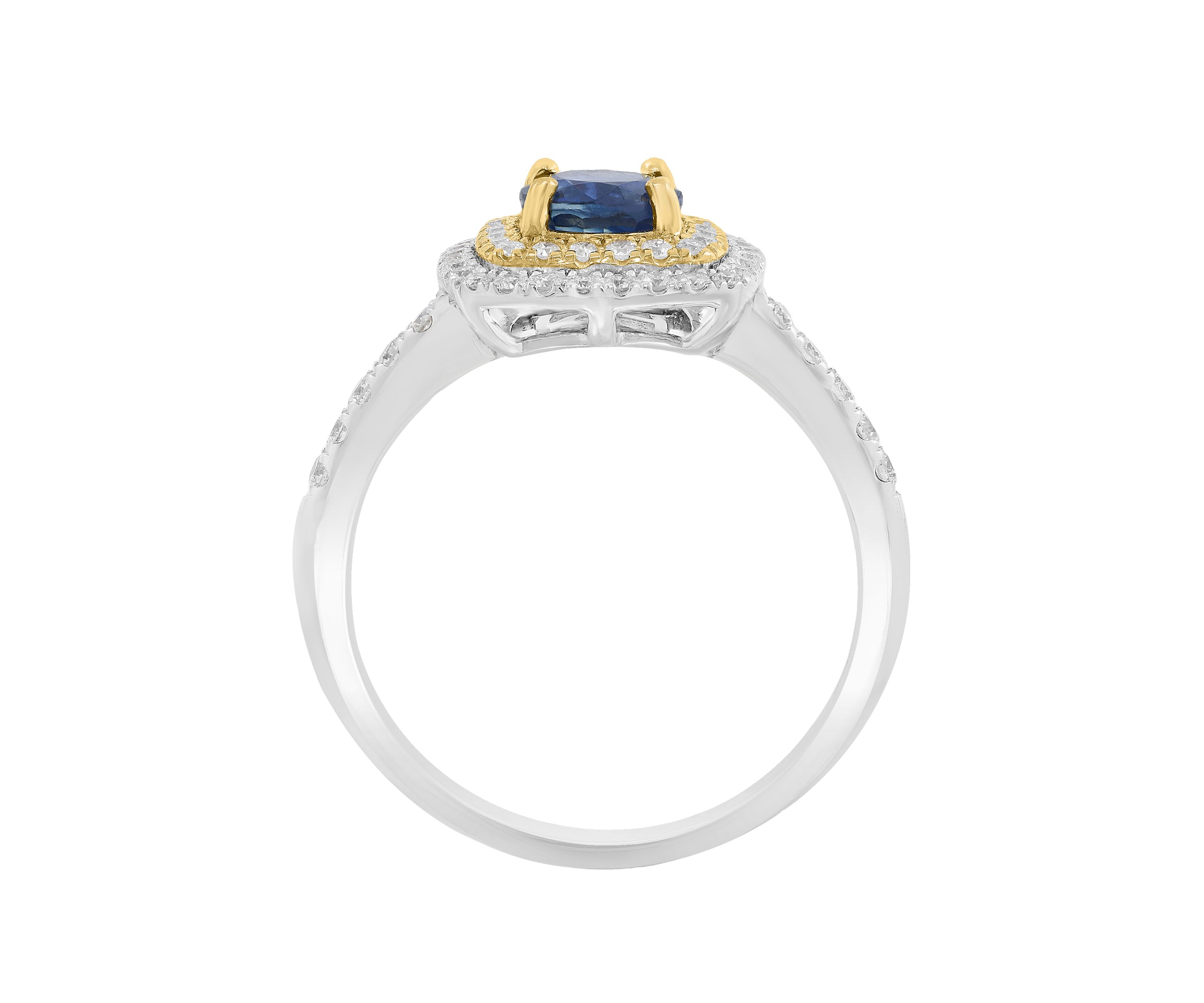 1/3 ct. t.w. Diamond and Natural Sapphire Ring in 14K White Gold and 14K Yellow Gold