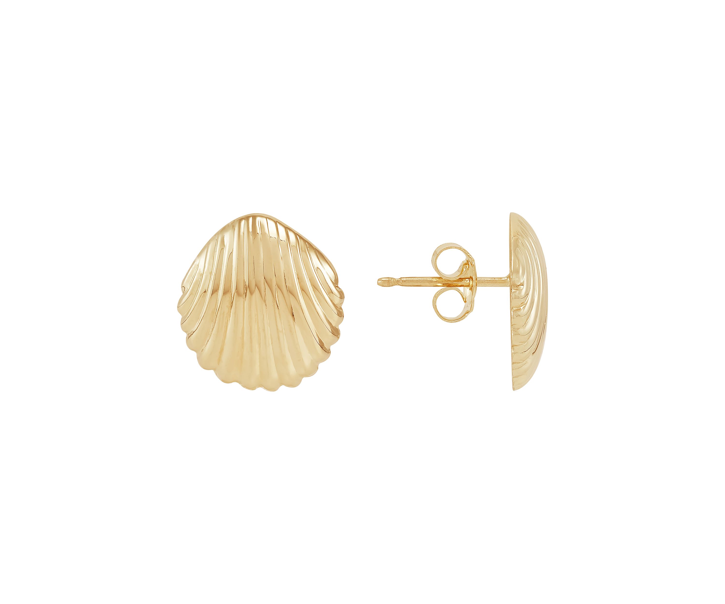 Small Shell Stud Earrings in 10K Yellow Gold