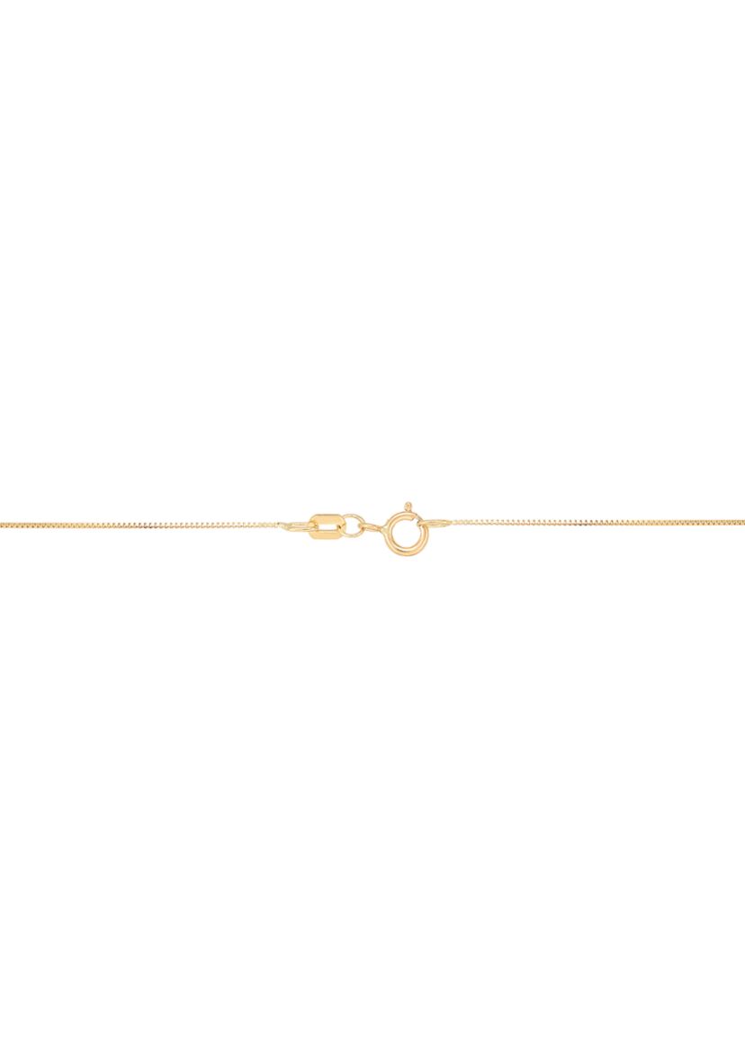 Turtle Pendant with 18" Box Chain in 10K Yellow Gold