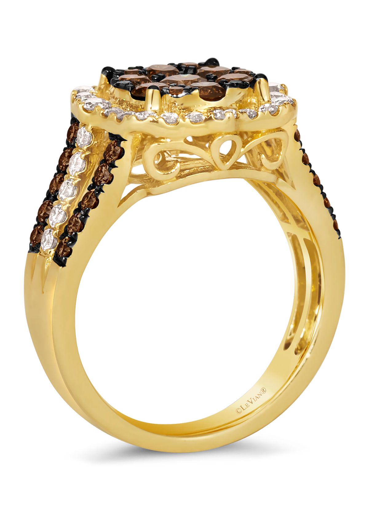Ring featuring 1.33 ct. t.w. Chocolate Diamonds®, 1/2 ct. t.w. Nude Diamonds™ in 14K Honey Gold™