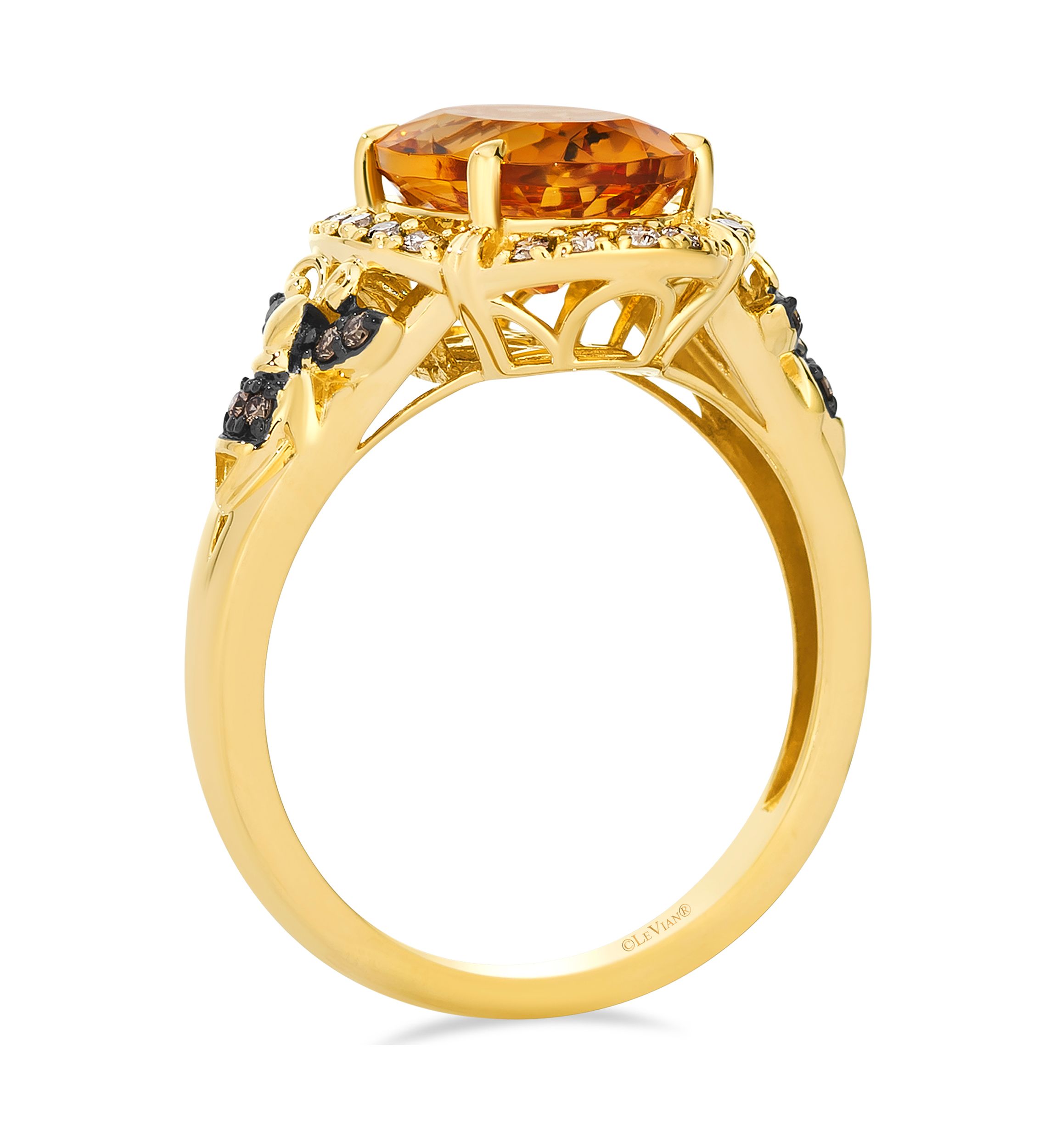 2.5 ct. t.w. Cinnamon Citrine®, 1/6 ct. t.w. Nude Diamonds™, 1/20 ct. t.w. Chocolate Diamonds® Ring in 14K Honey Gold™