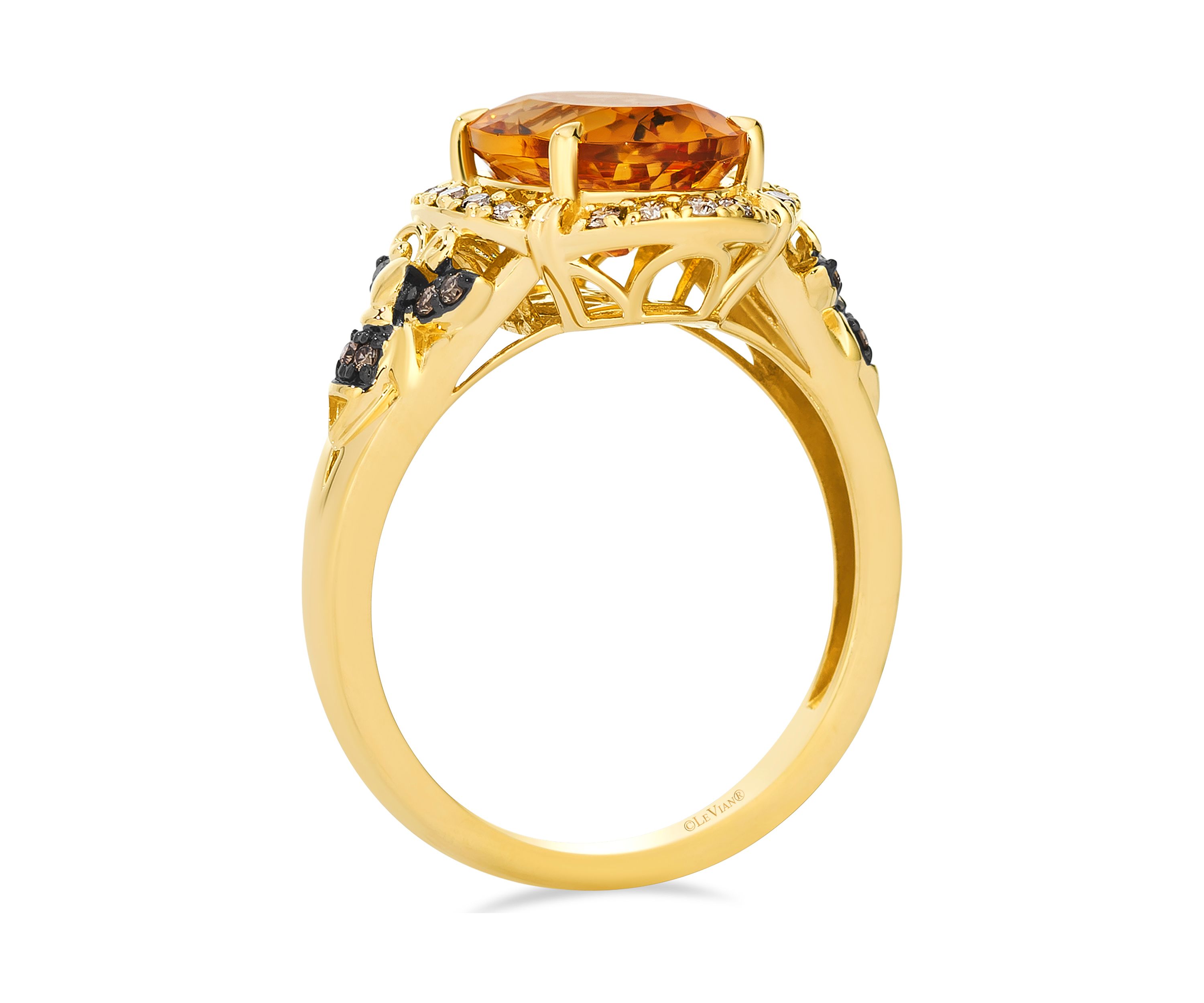 2.5 ct. t.w. Cinnamon Citrine®, 1/6 ct. t.w. Nude Diamonds™, 1/20 ct. t.w. Chocolate Diamonds® Ring in 14K Honey Gold™