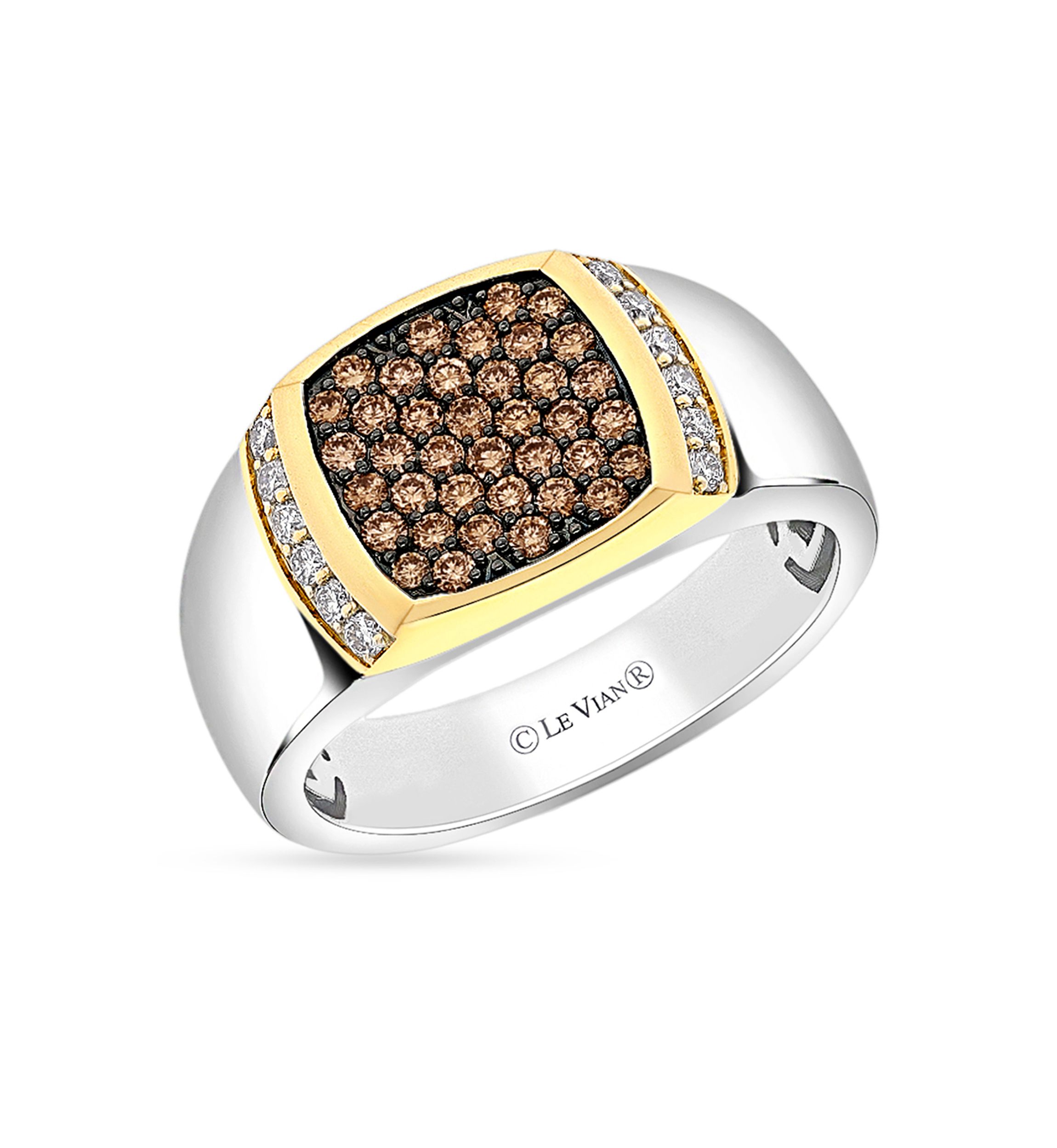Mens 1/5 ct. t.w. Nude Diamonds™, 1/2 ct. t.w. Chocolate Diamonds® Ring in Sterling Silver and 14K Gold™
