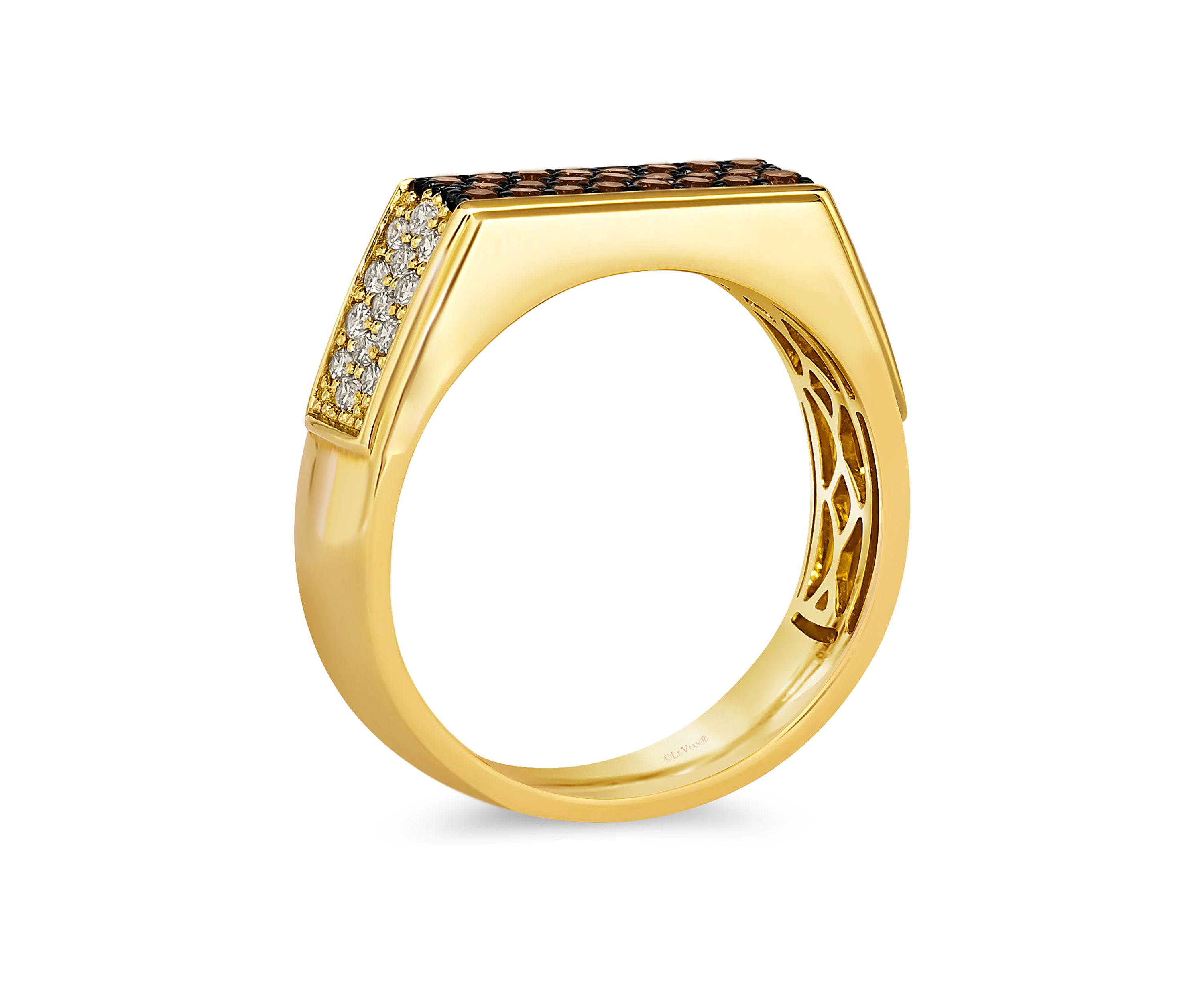 1/2 ct. t.w. Nude Diamonds™, 3/8 ct. t.w. Chocolate Diamonds® Ring in 14K Honey Gold™