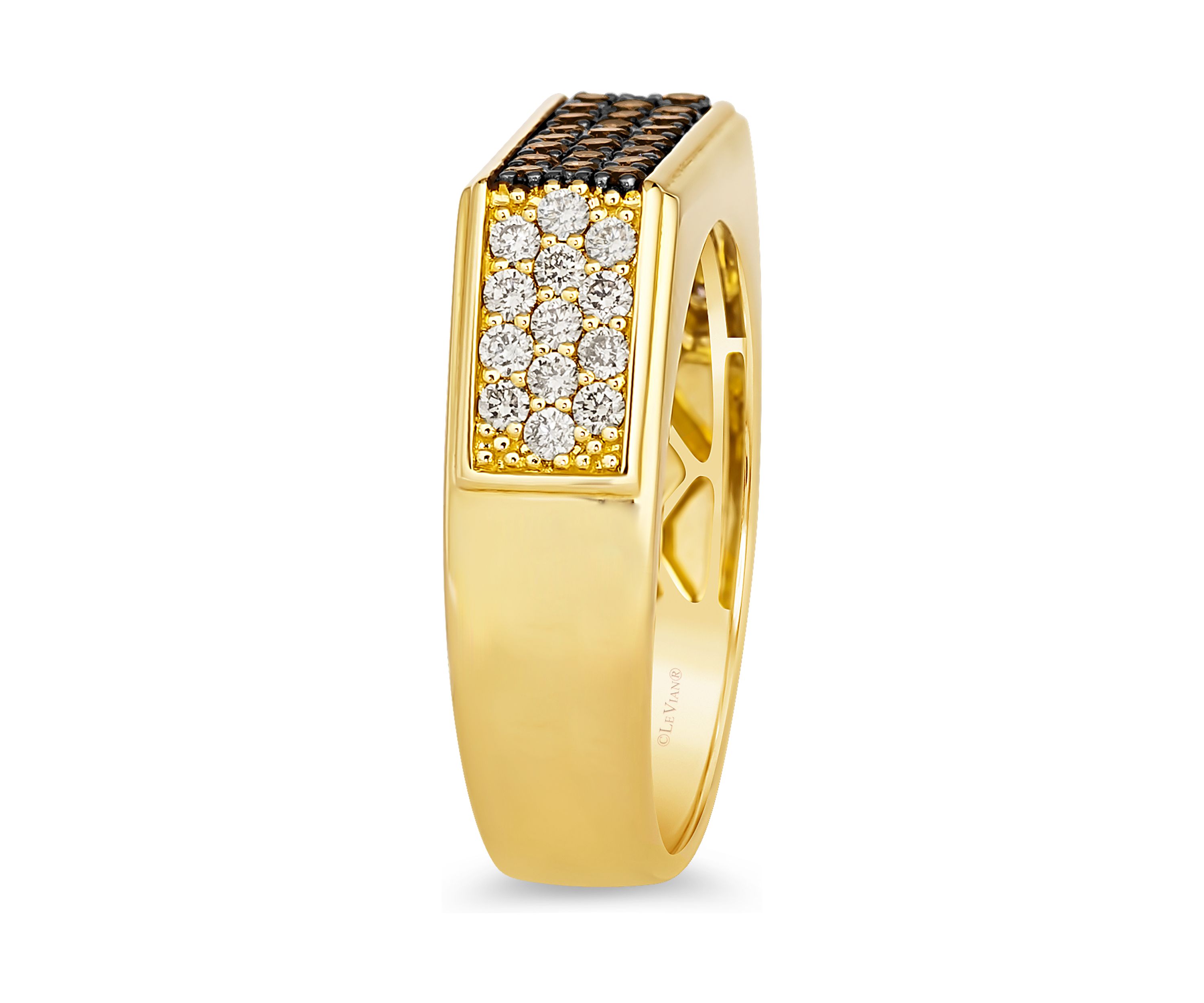 1/2 ct. t.w. Nude Diamonds™, 3/8 ct. t.w. Chocolate Diamonds® Ring in 14K Honey Gold™