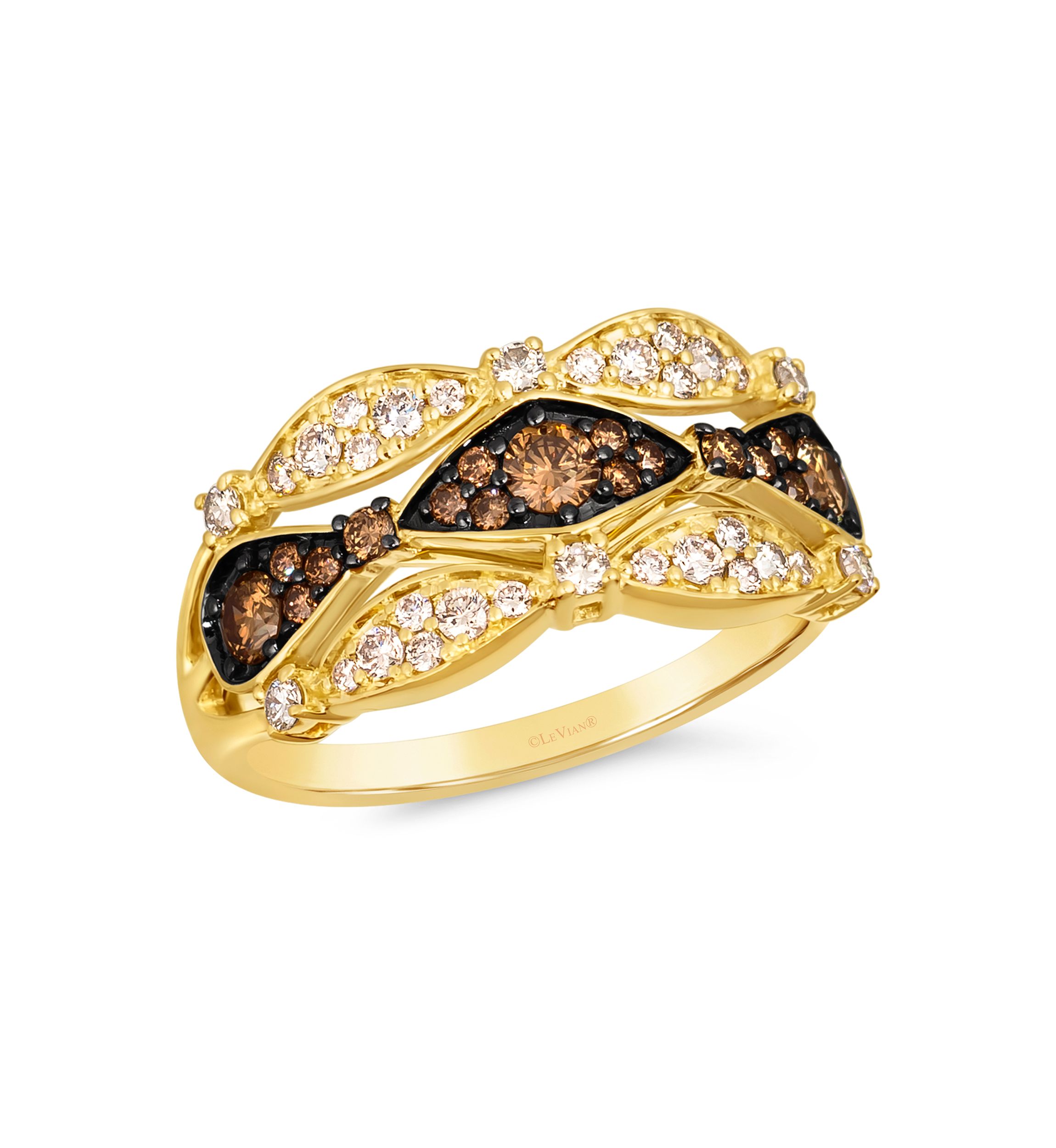 1/3 ct. t.w. Chocolate Diamonds®, 1/3 ct. t.w. Nude Diamonds™ Ring in 14K Honey Gold™