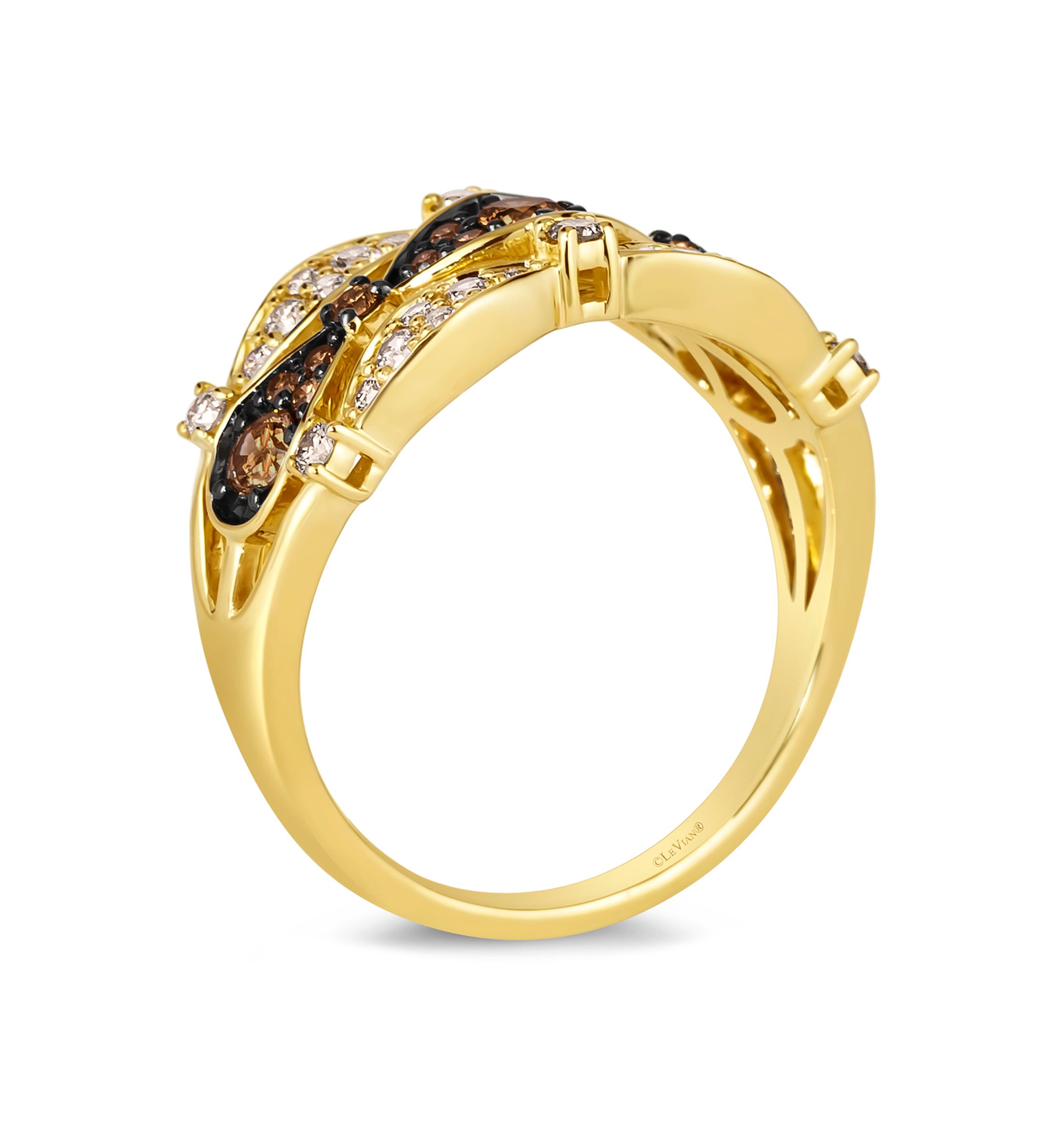 1/3 ct. t.w. Chocolate Diamonds®, 1/3 ct. t.w. Nude Diamonds™ Ring in 14K Honey Gold™