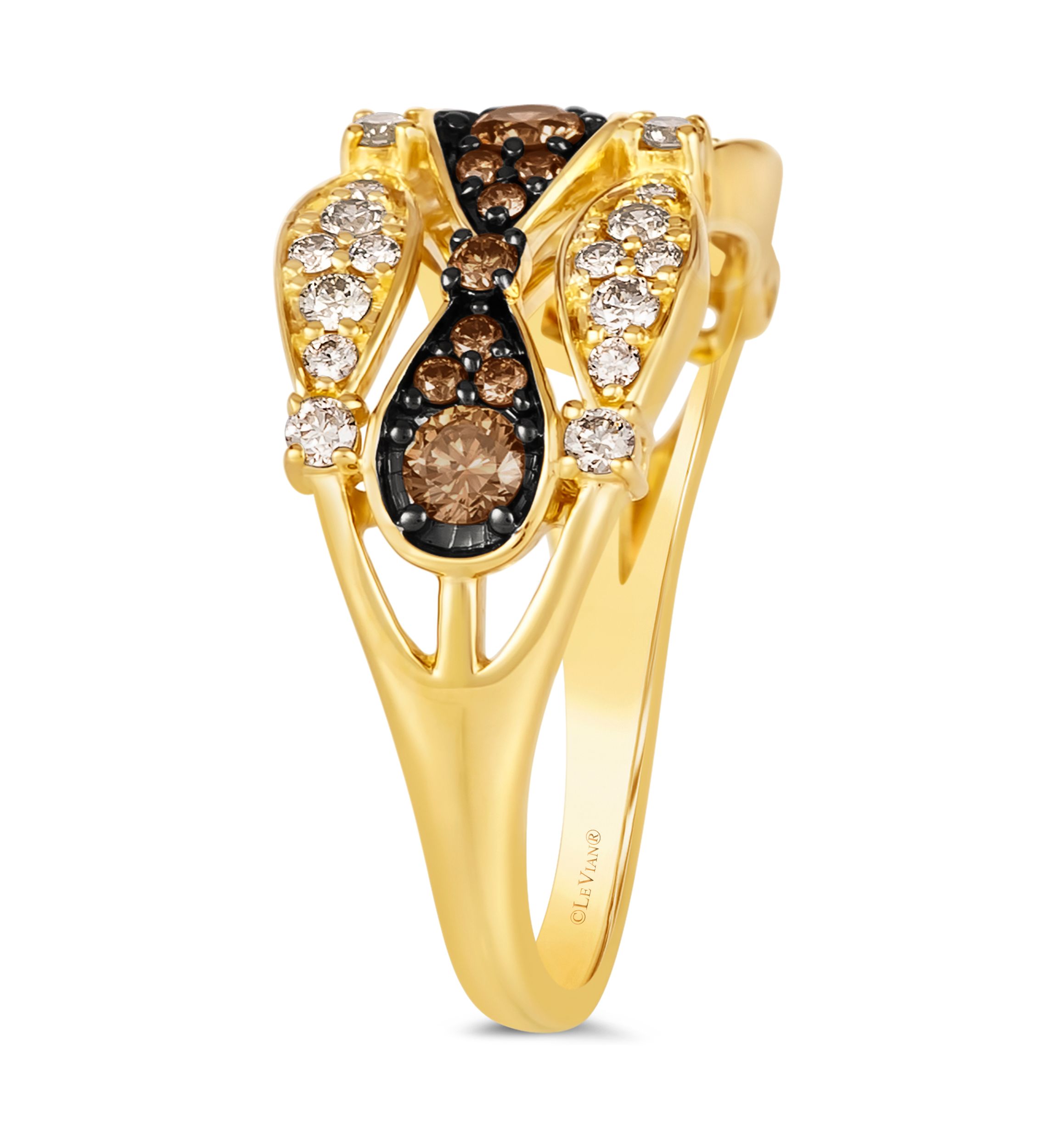 1/3 ct. t.w. Chocolate Diamonds®, 1/3 ct. t.w. Nude Diamonds™ Ring in 14K Honey Gold™