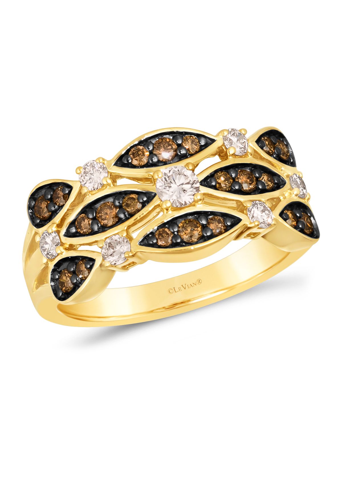 1/3 ct. t.w. Nude Diamonds™, 3/8 ct. t.w. Chocolate Diamonds® Ring in 14K Honey Gold™