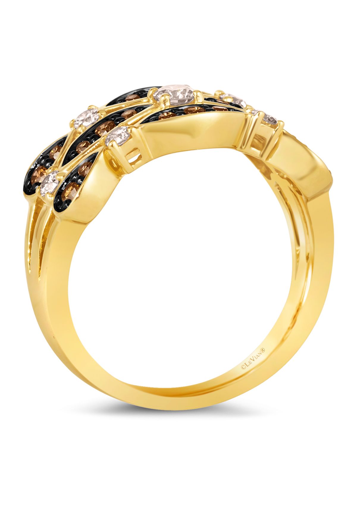 1/3 ct. t.w. Nude Diamonds™, 3/8 ct. t.w. Chocolate Diamonds® Ring in 14K Honey Gold™