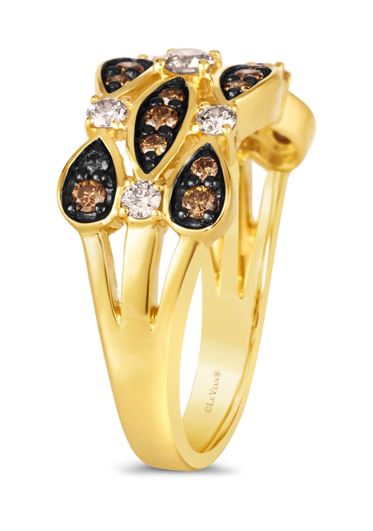 1/3 ct. t.w. Nude Diamonds™, 3/8 ct. t.w. Chocolate Diamonds® Ring in 14K Honey Gold™