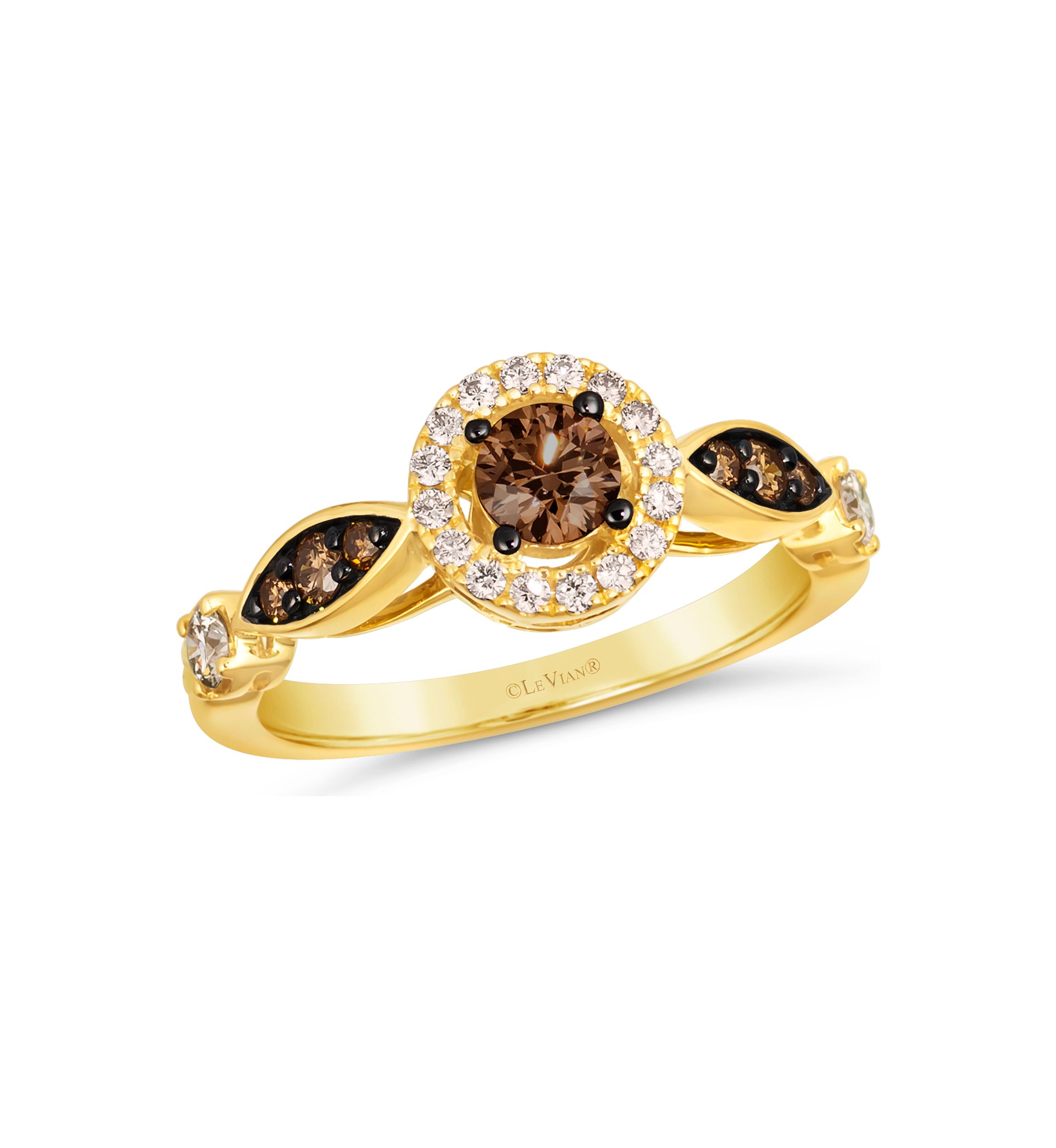 1/2 ct. t.w. Chocolate Diamonds®, 1/4 ct. t.w. Nude Diamonds™ Ring in 14K Honey Gold™